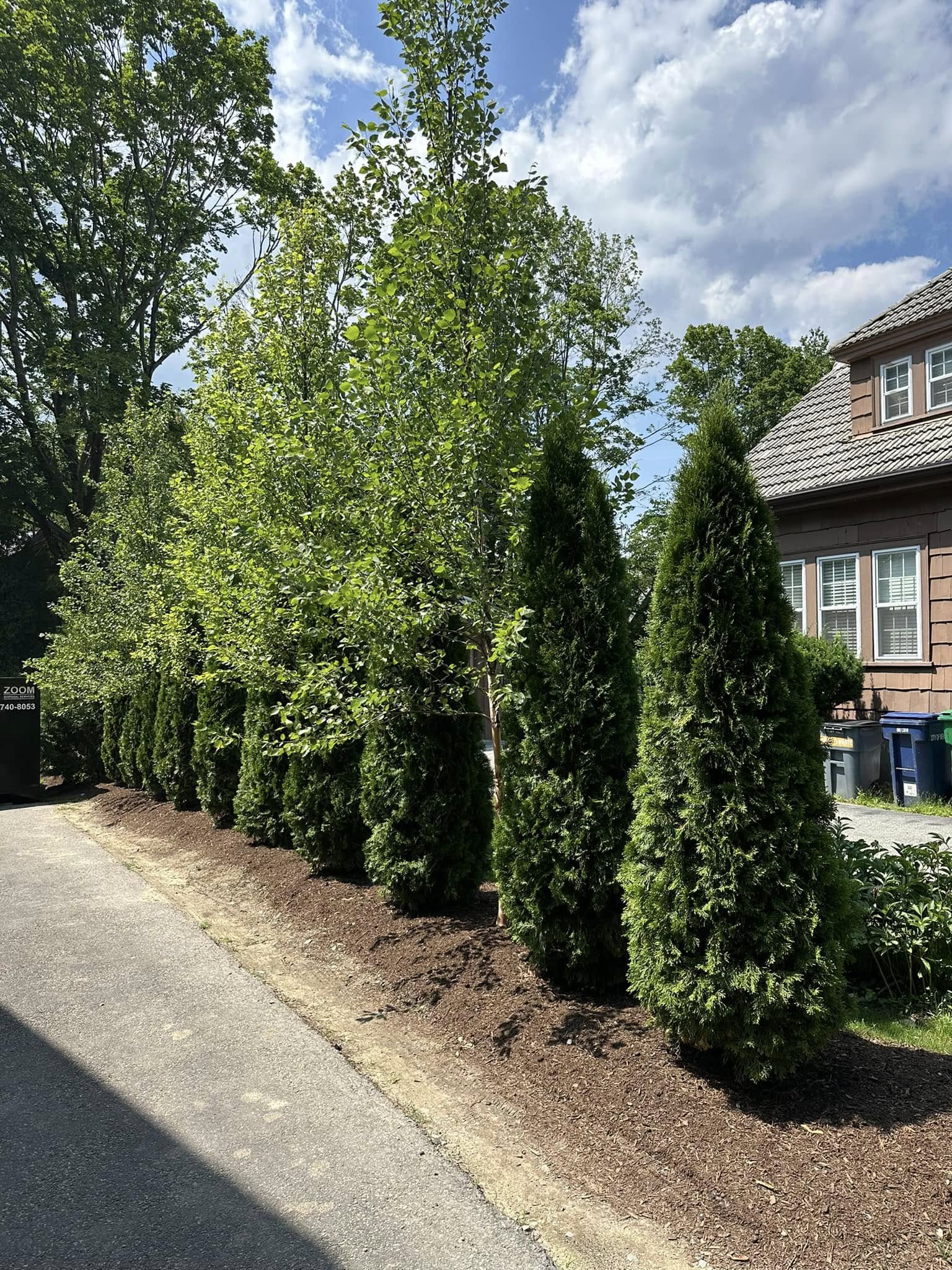  for Saavedra & Sons Landscaping in Waltham, MA