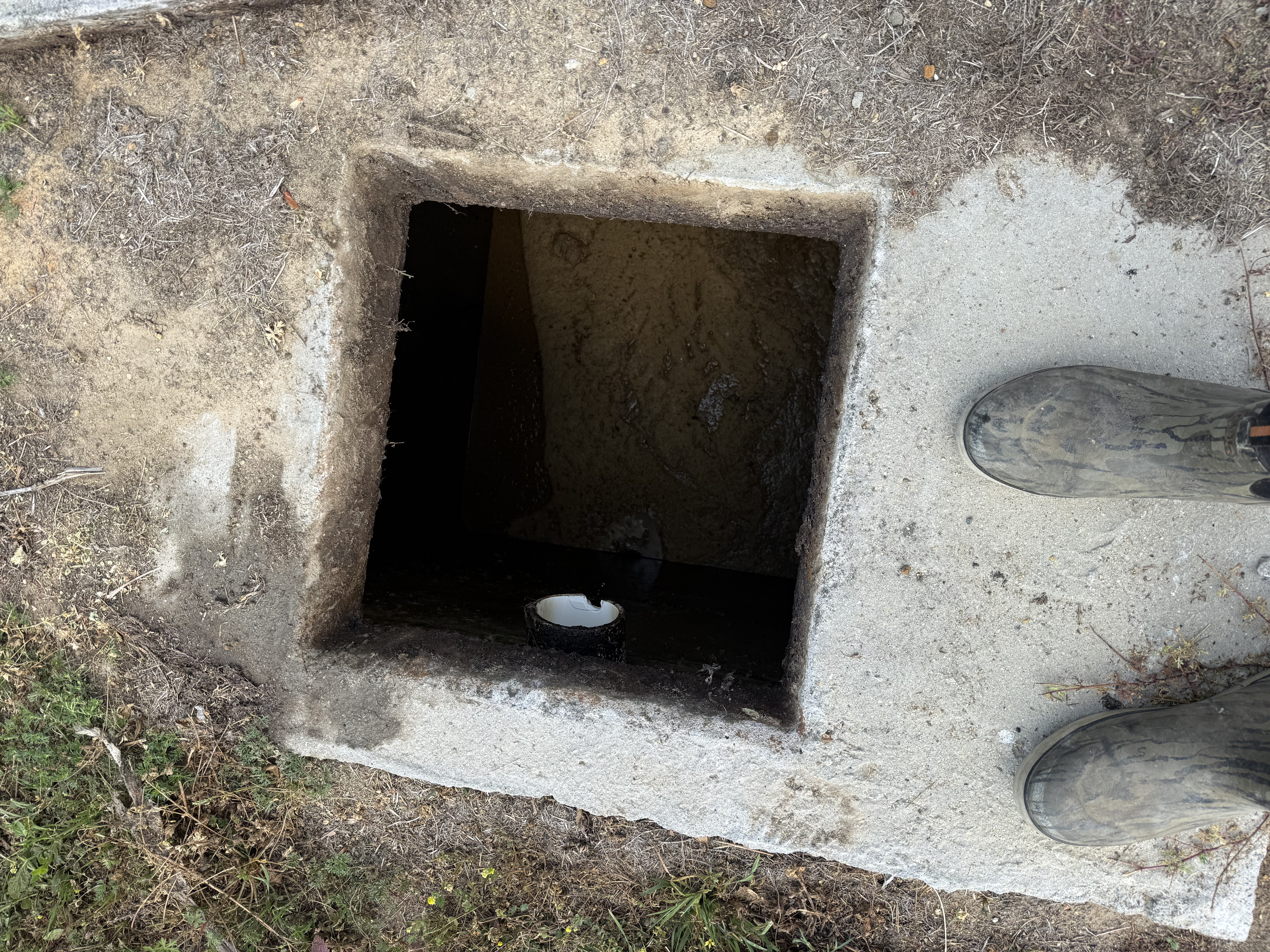  for Masse Septic & Plumbing in Sylvania, GA