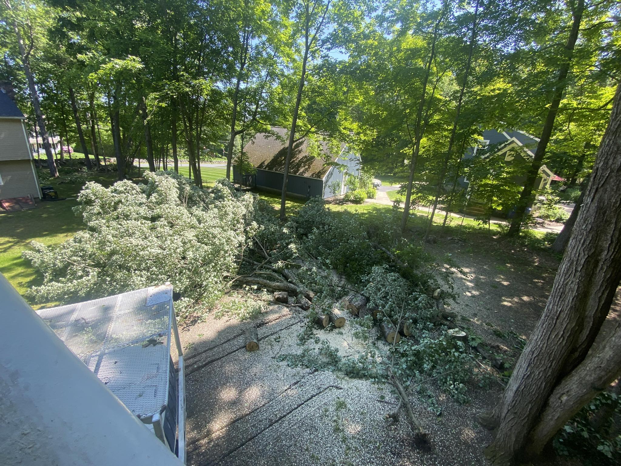cover-photo
