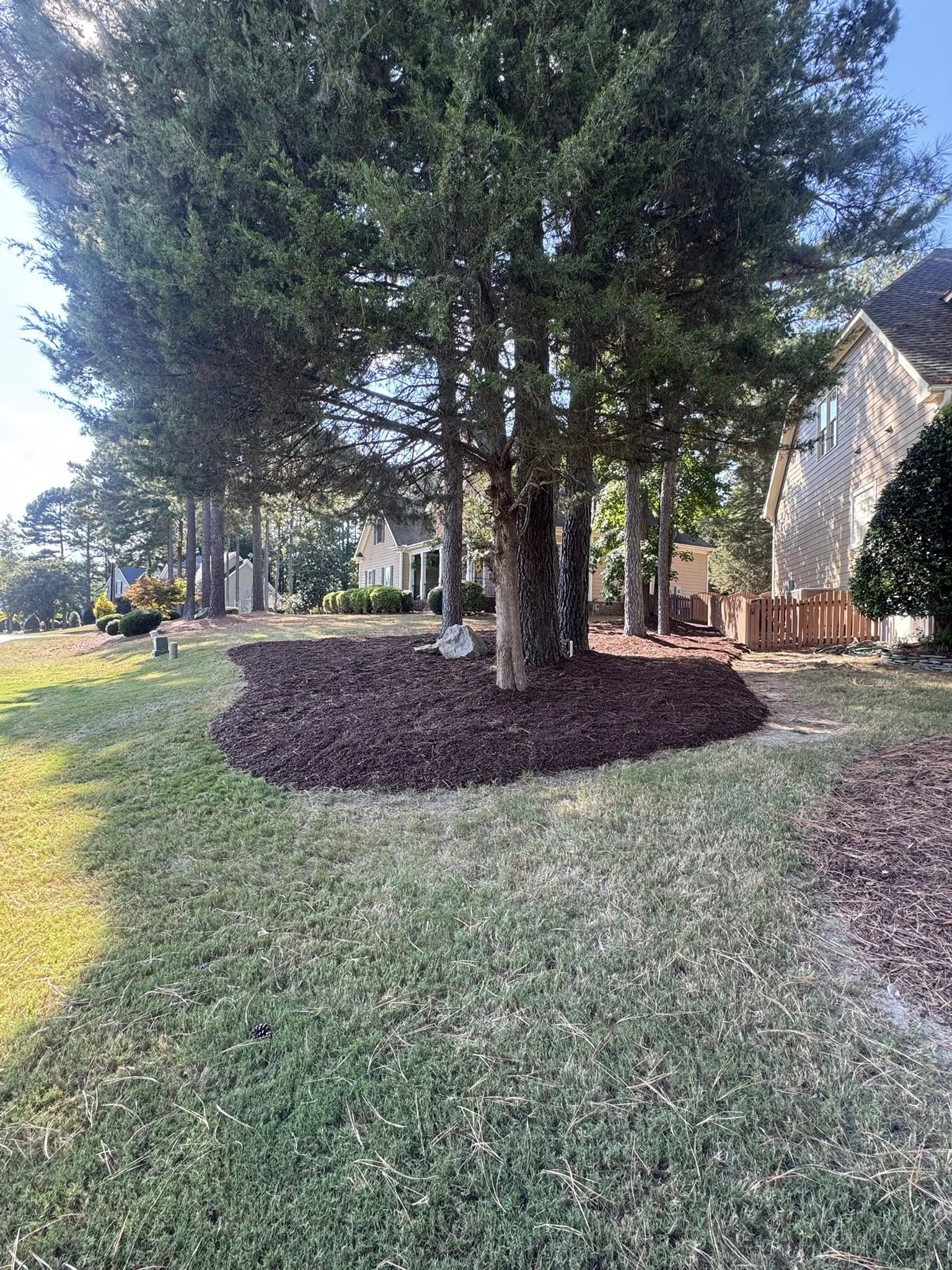  for Done2Day LLC in Wake Forest, NC