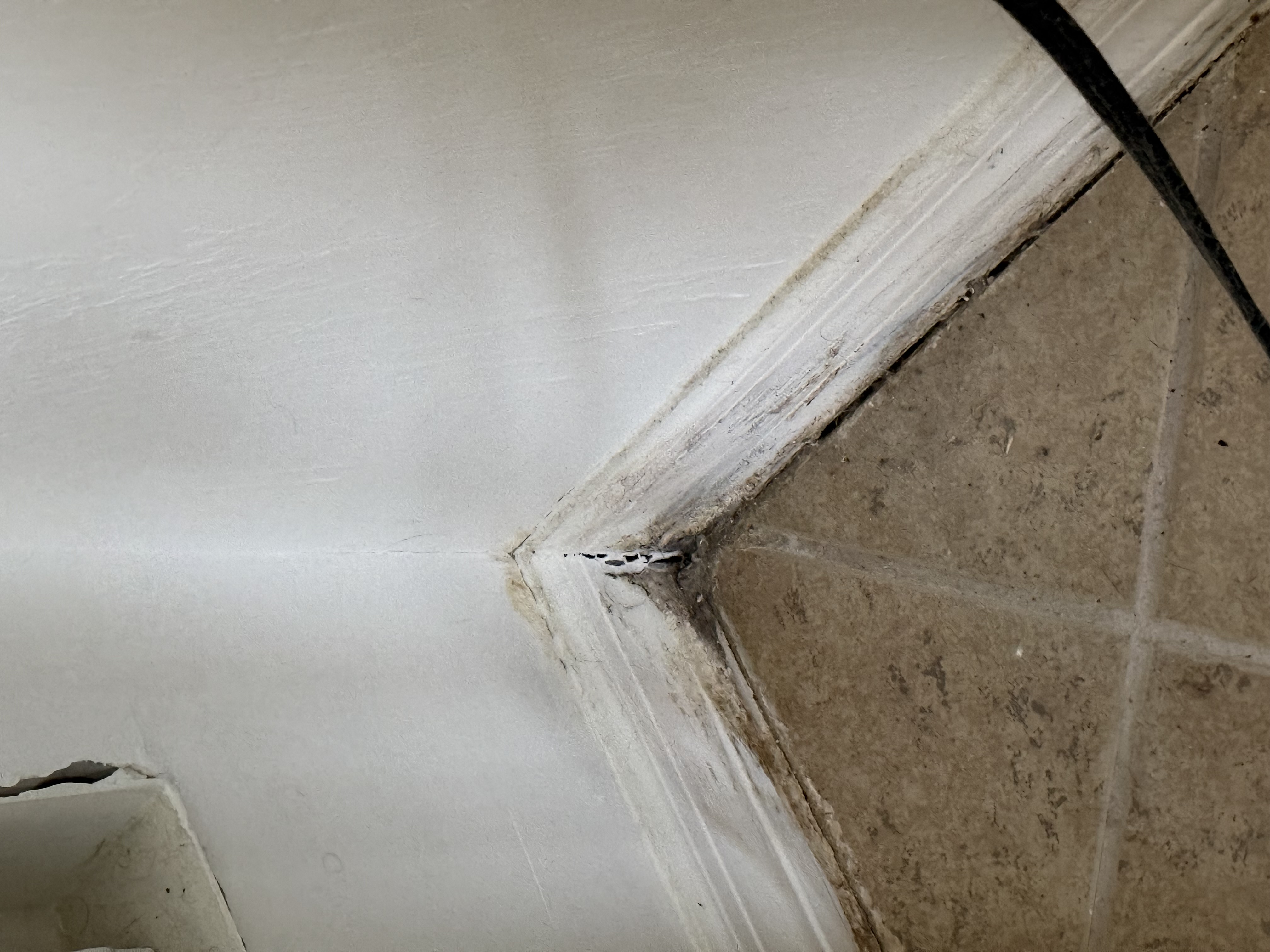  for N&D Restoration Services: When Disaster Strikes, We Come In in Cape Coral,  FL