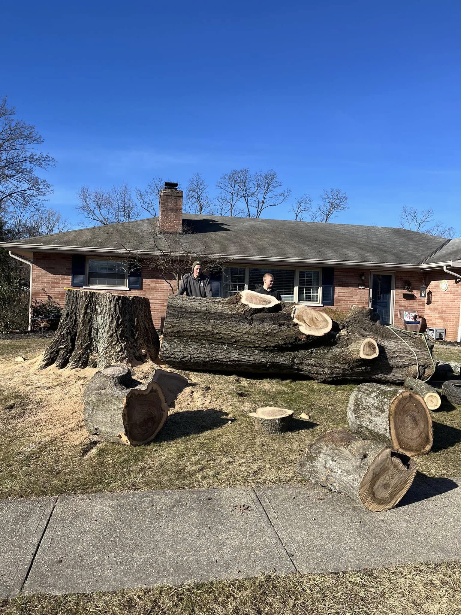 tree service company Precision Tree Service, Inc. in Ryland Heights, KY