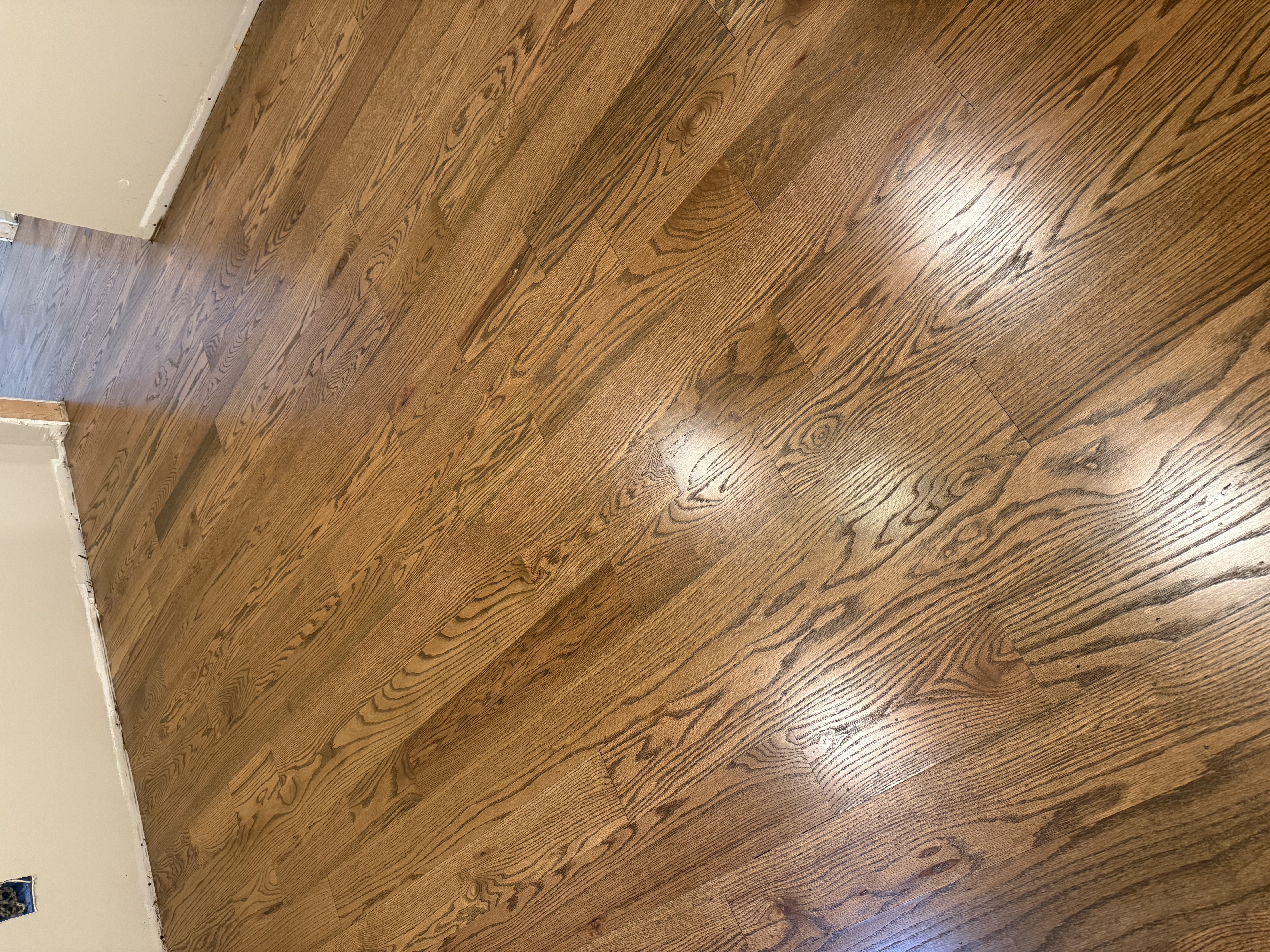  for Finely Finished LLC in Wyoming, DE