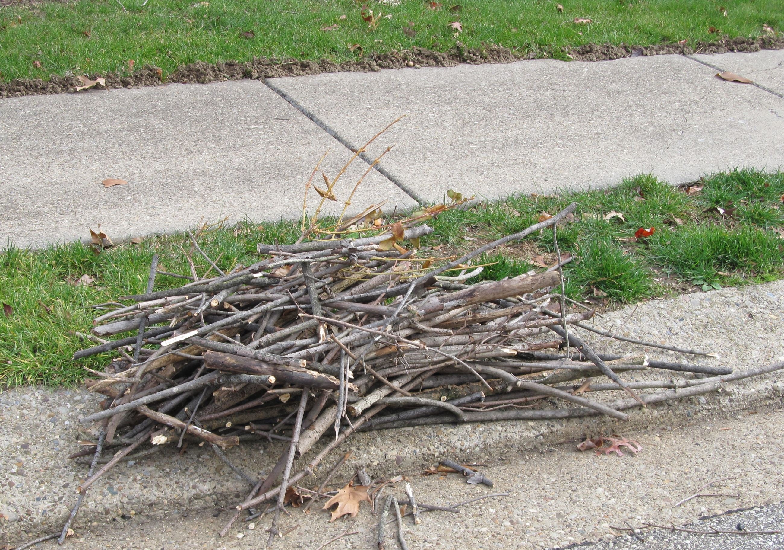  for Thrashers Utilities Services in Sultan, WA