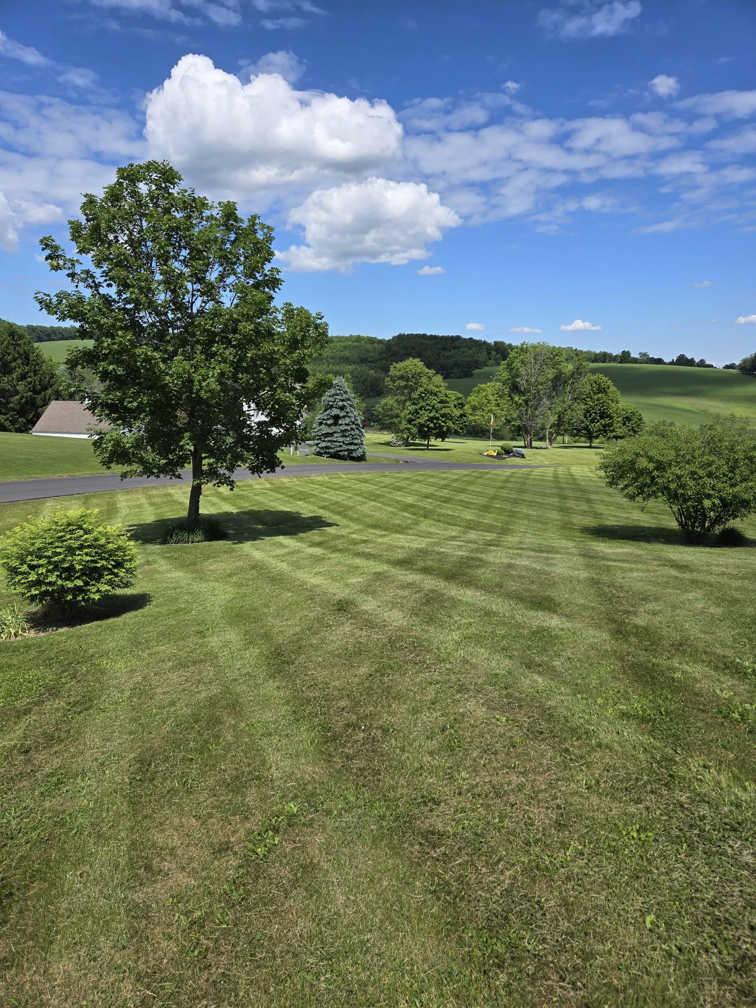  for Fancher's Lawns & Landscaping LLC in Schoharie County, NY