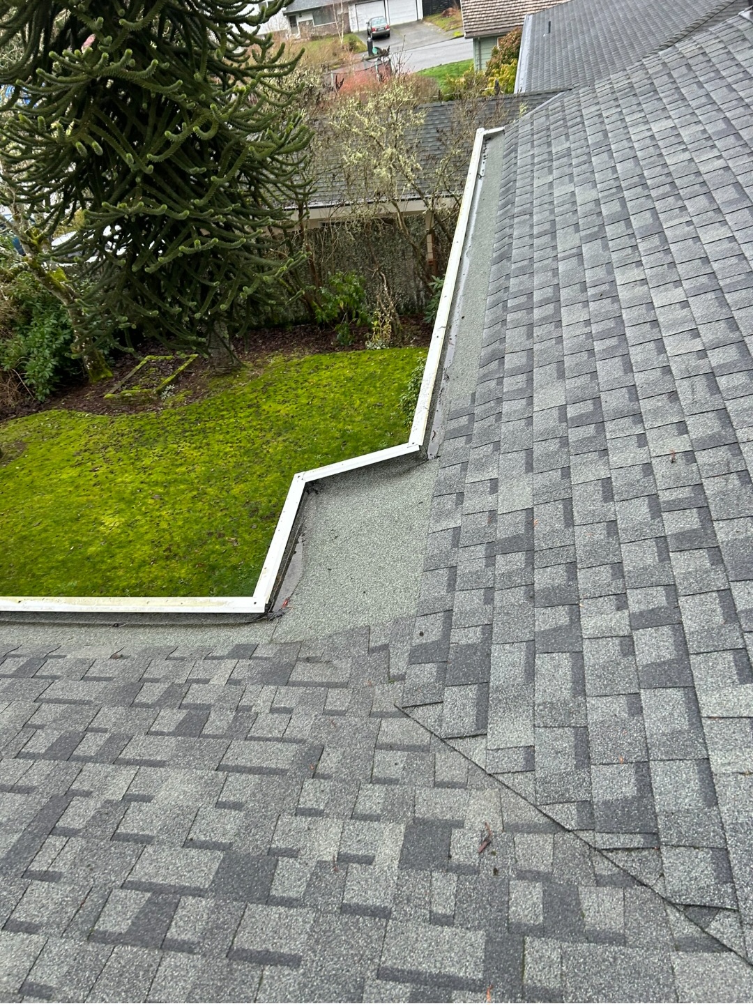  for Rising Hawk Construction LLC. in Kitsap County, WA