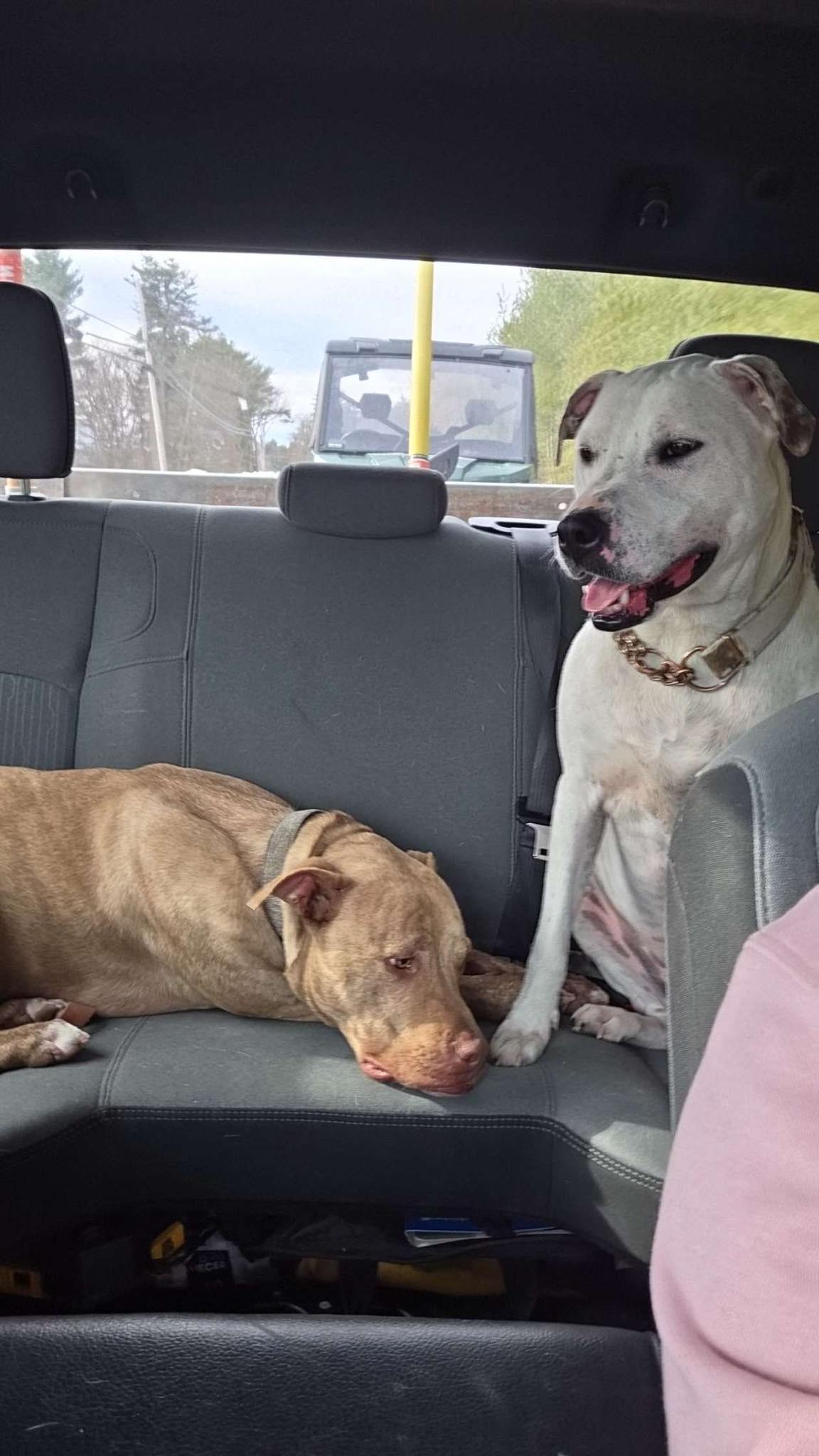  for Property Perfect LLC in Goffstown, NH