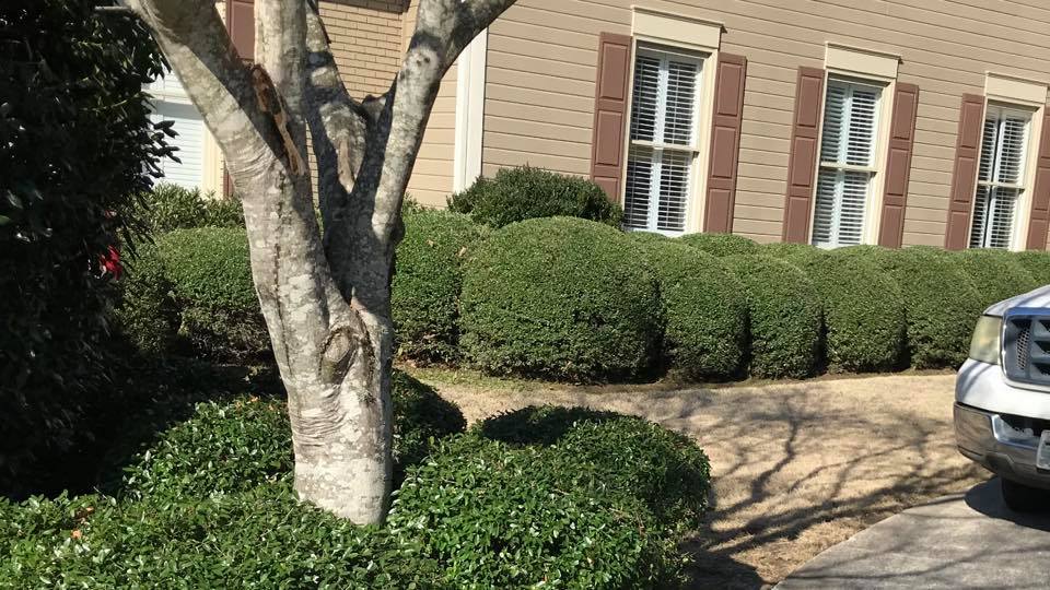  for Landscape Legends in Roanoke, TX