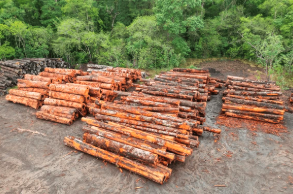  for Bluff Country Whitetails in Grand Ledge, MI