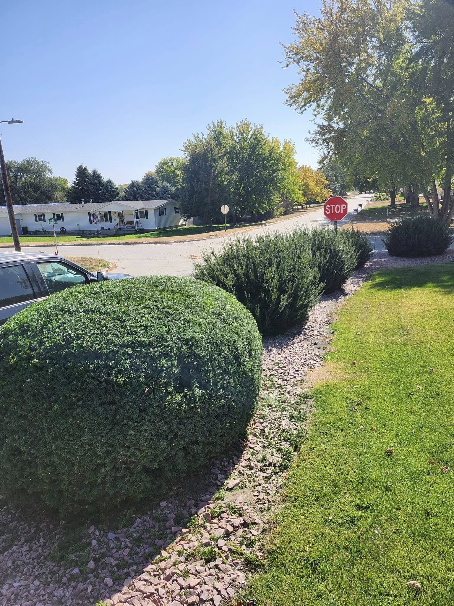  for Uprooted LLC in Norfolk, NE