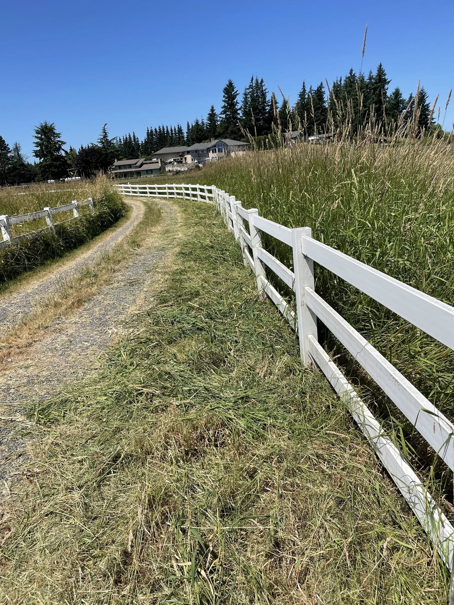 cover-photo