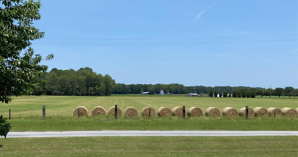 Landscaping company T&S Land Management Services in Springfield, GA