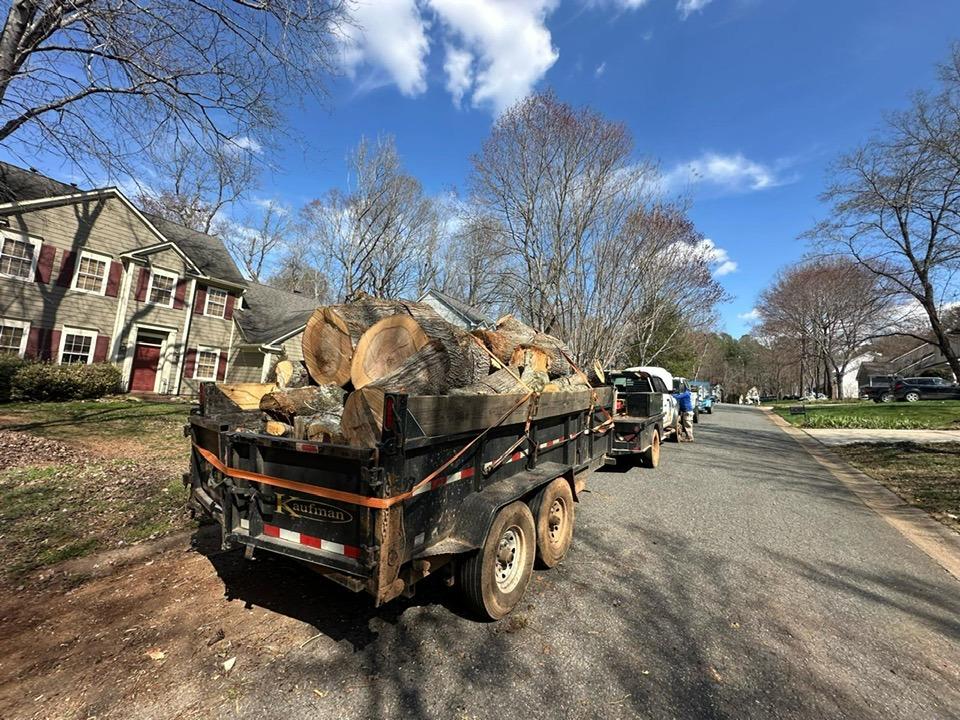  for Pedro's Tree Removal in Charlotte, NC