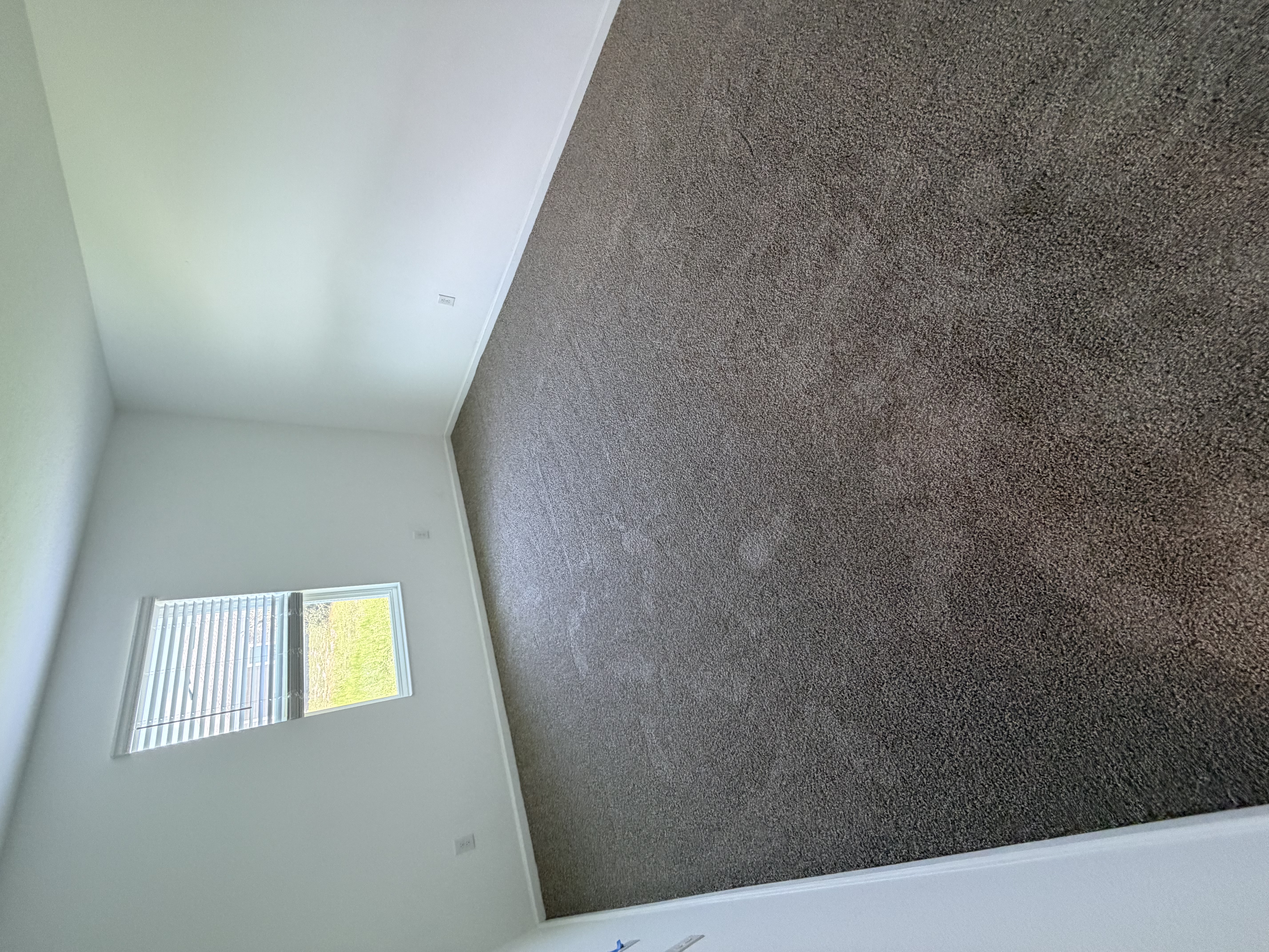 Empty Tampa, FL bedroom with new taupe carpet