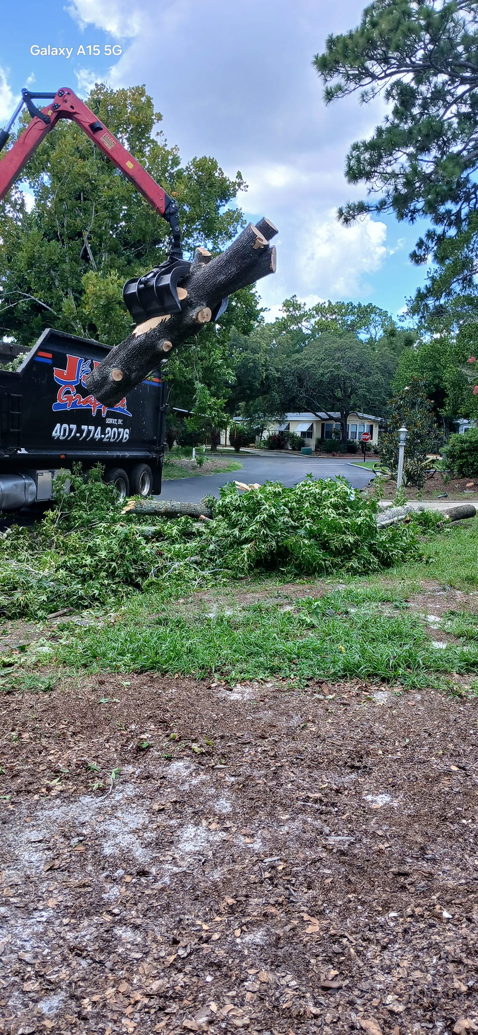  for A Southern Style Tree Service in Orlando, FL