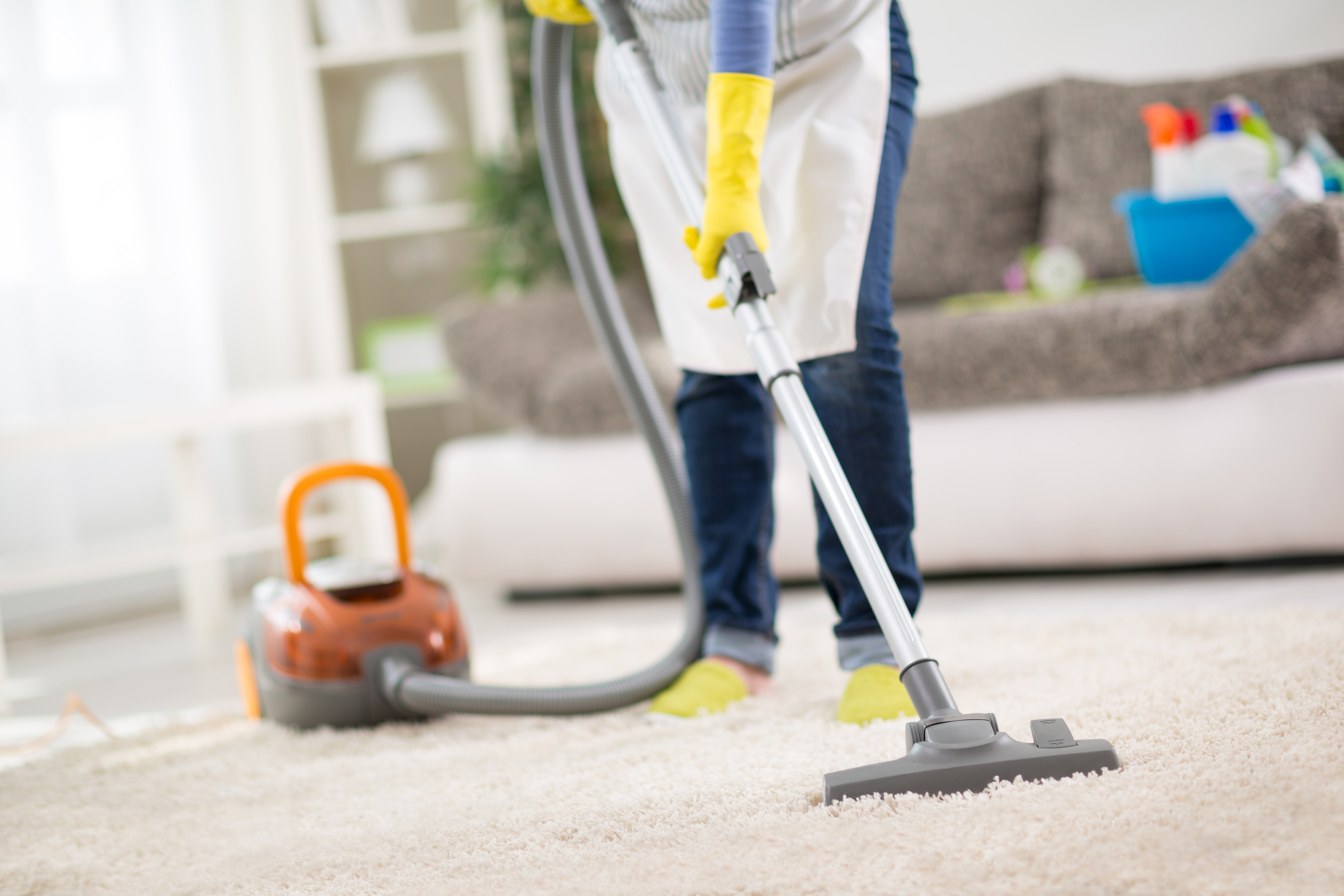  for Casia Cleaning Services in Queens, NY