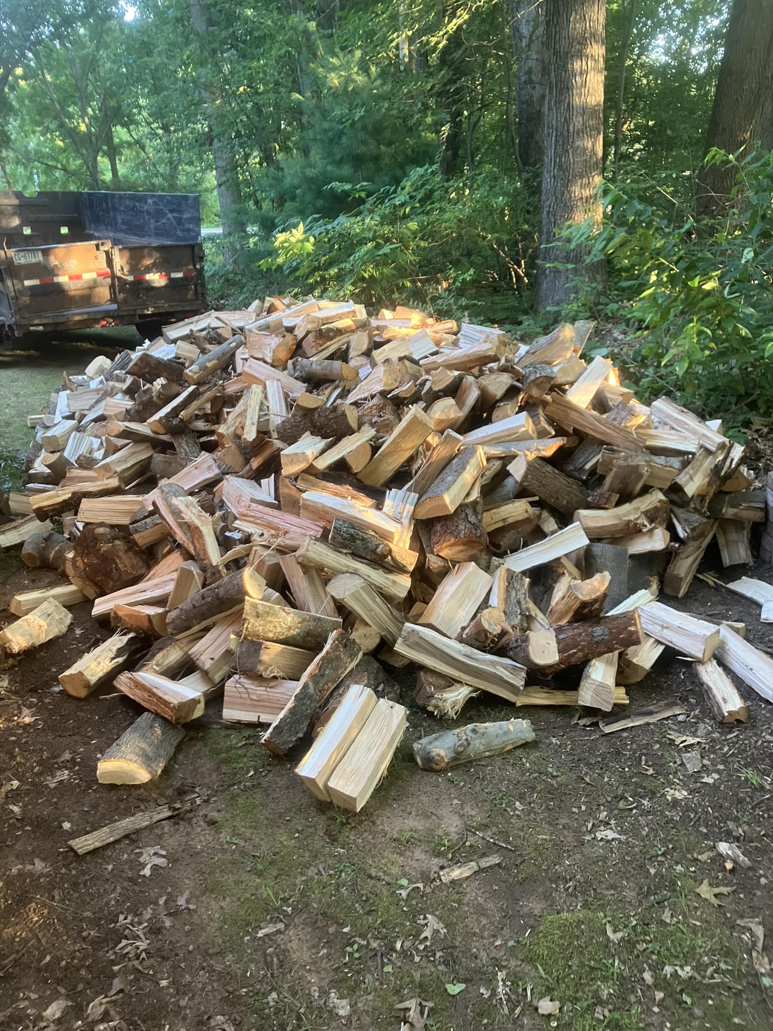  for Lovenguth Logging and Tree Service in West Monroe, NY