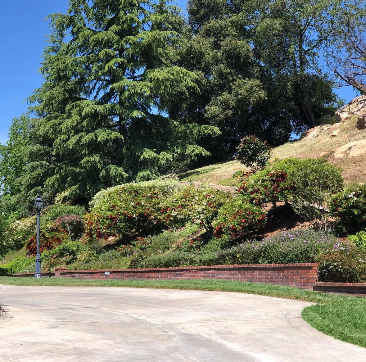  for Herreras Land Service in San Diego, CA