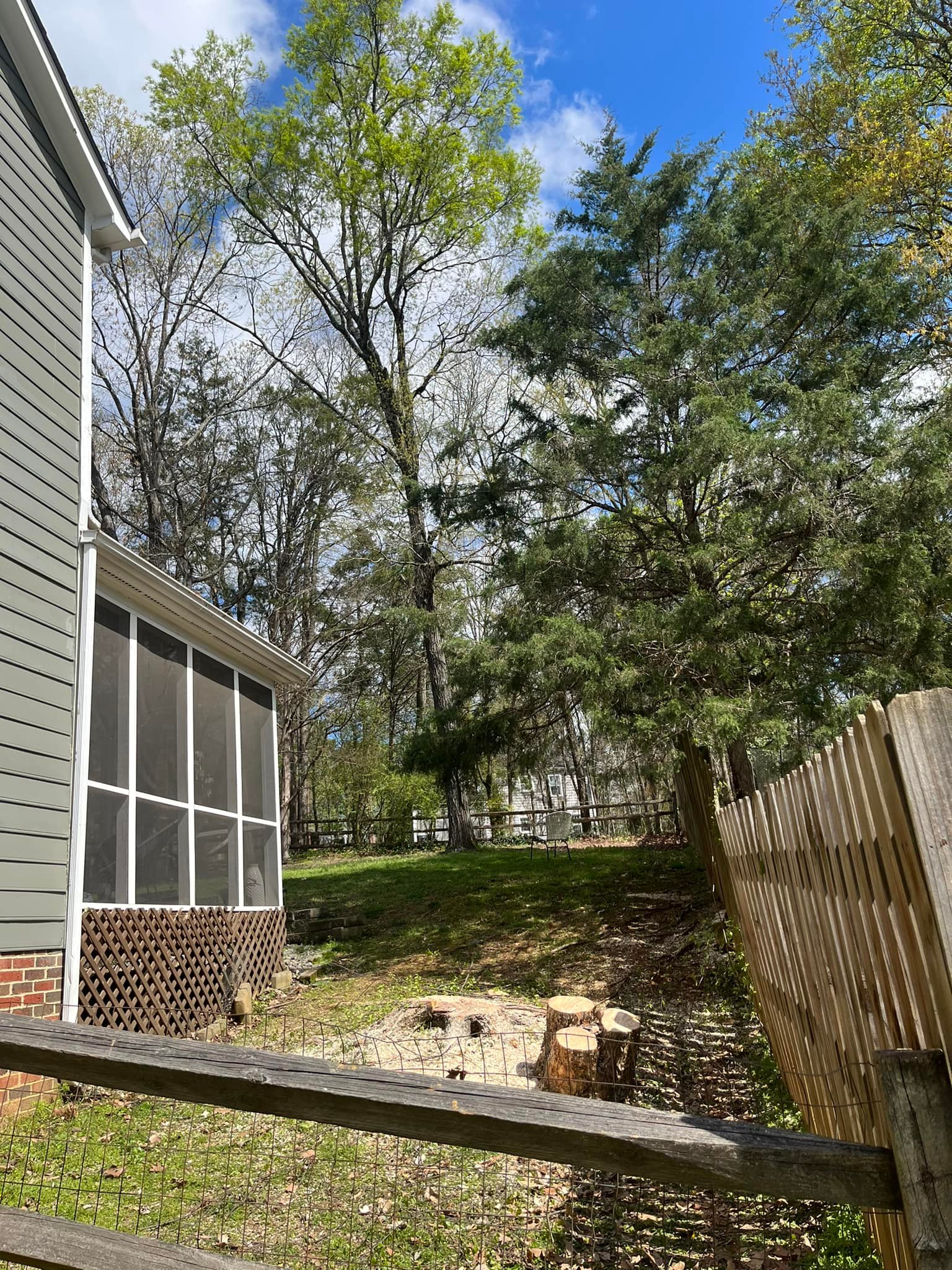  for DW’s Tree Service in Winston-Salem, NC