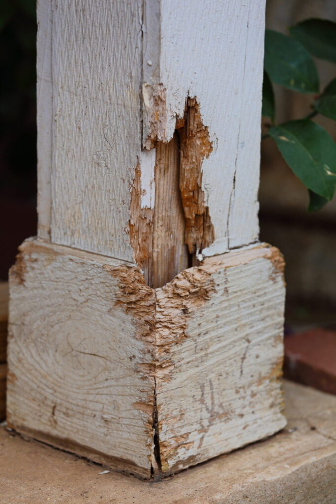 Wood Rot Repair