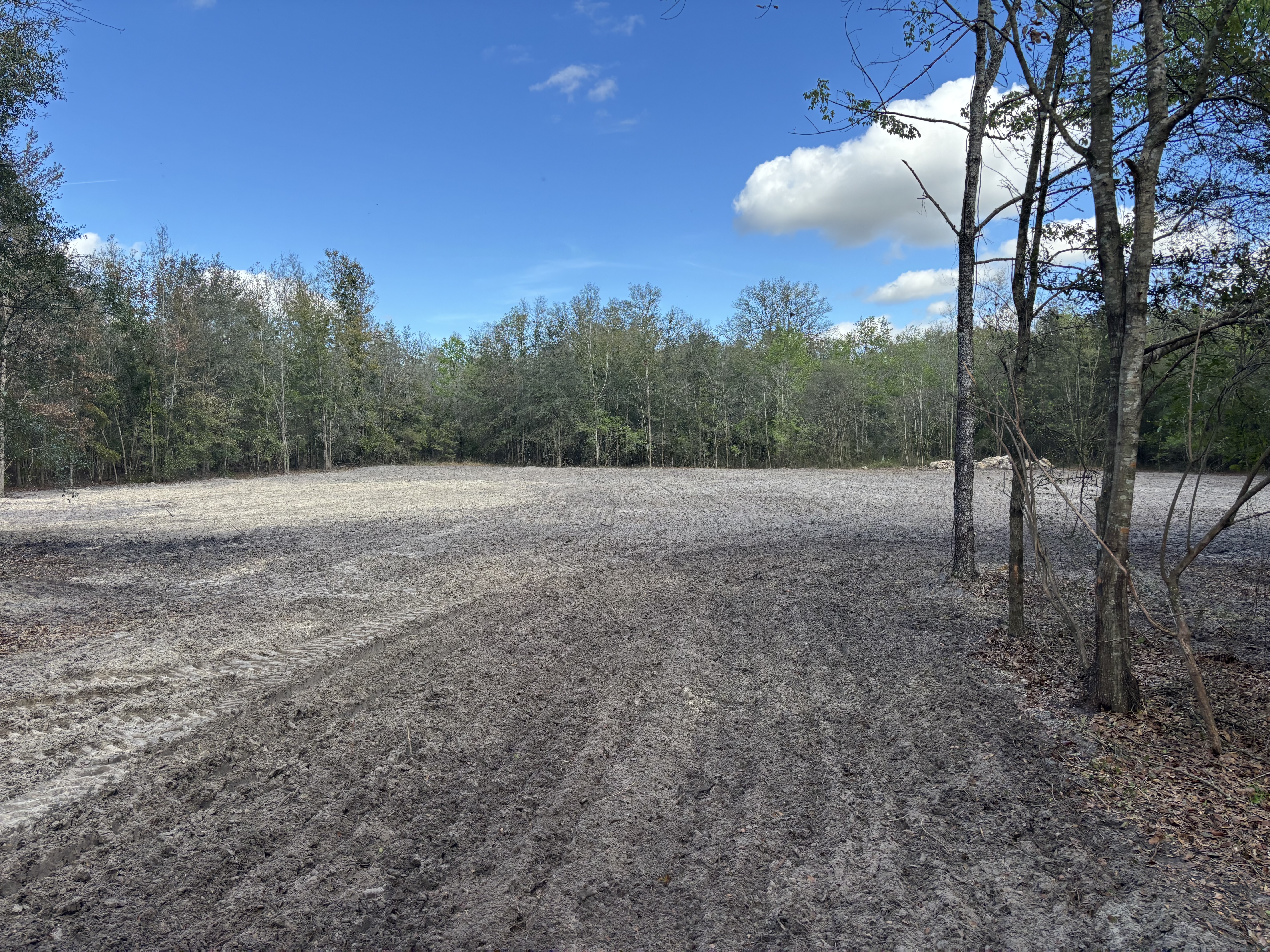  for Warners Tree Solutions in Live Oak, FL