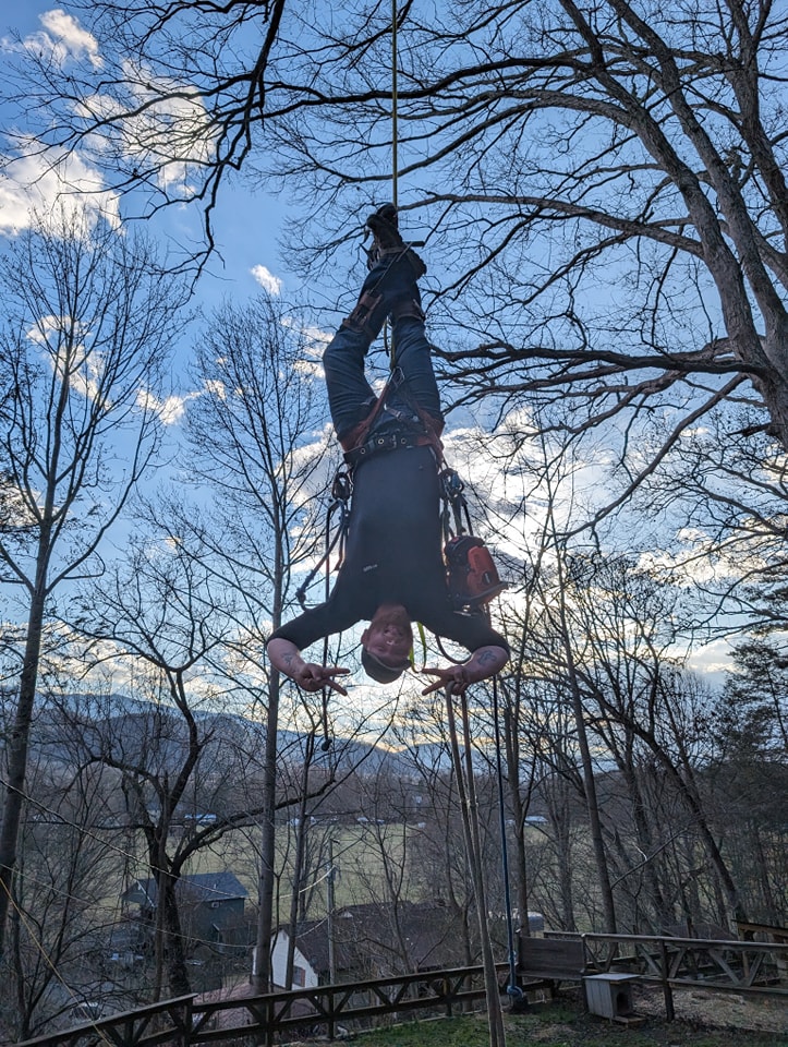  for Wade's Family Tree Service in Townsend, TN