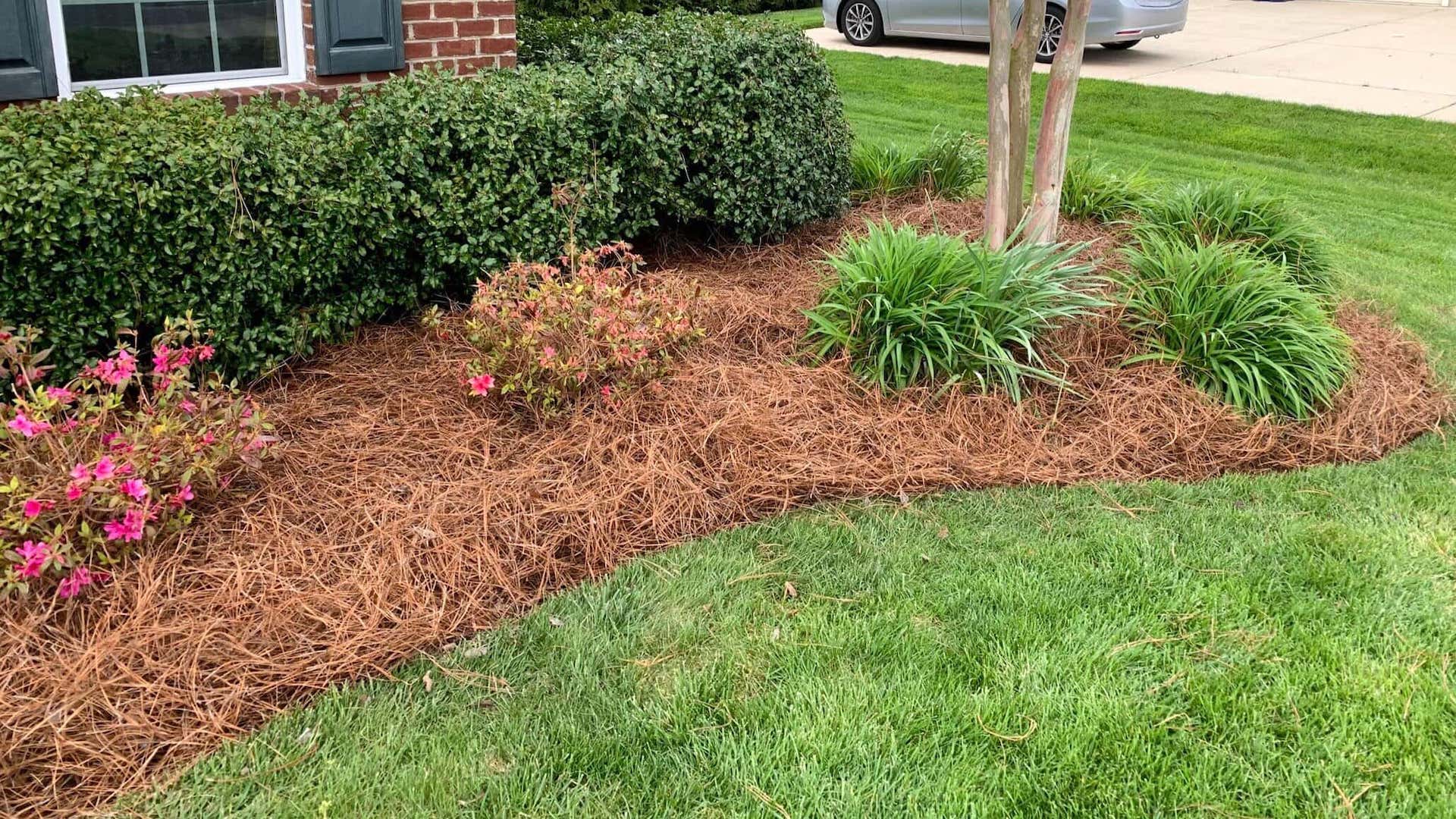 for Tru Tree Service LLC in Lecanto, FL