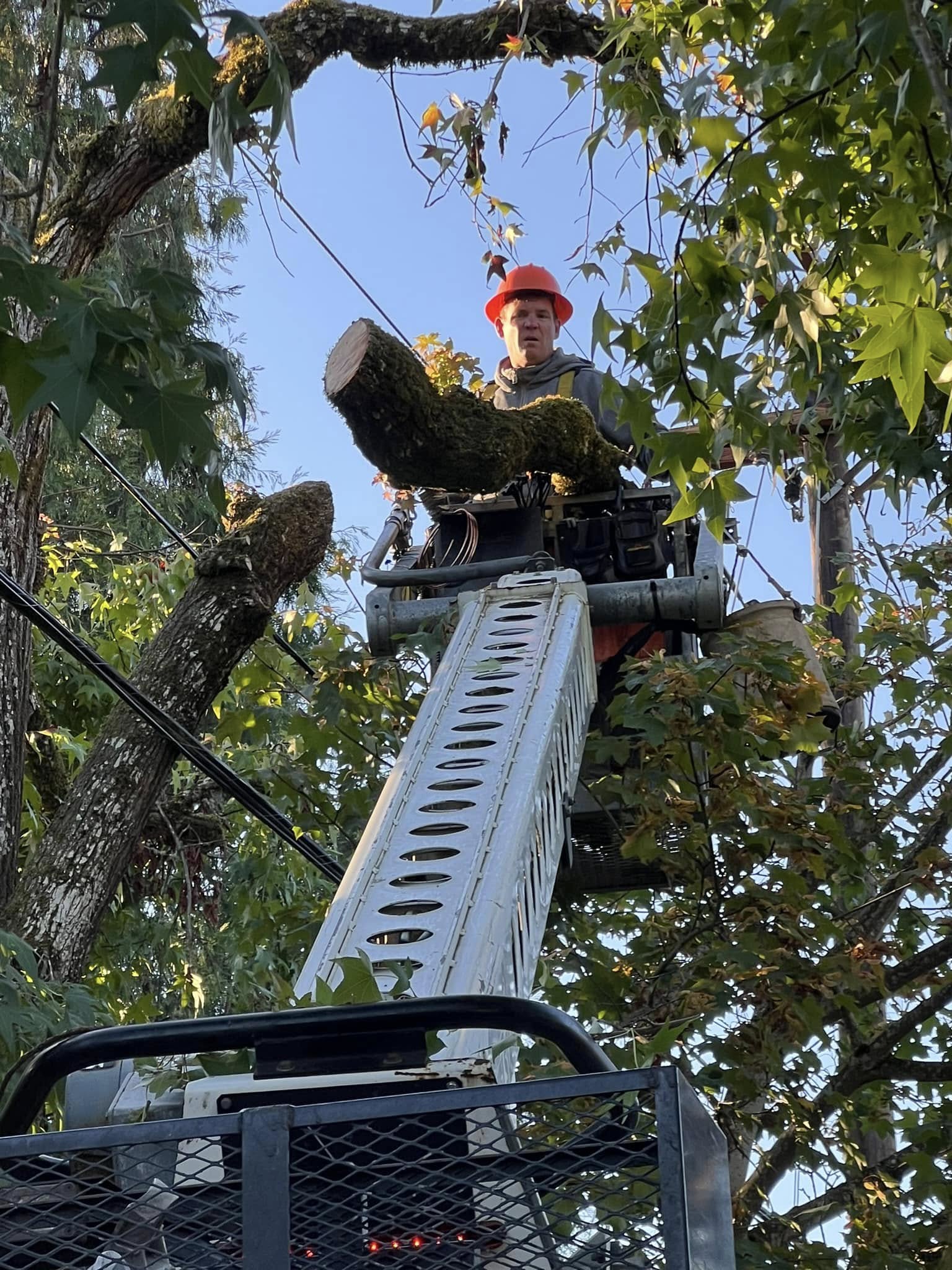 Tree Service company Hammons Construction LLC in Eugene, OR