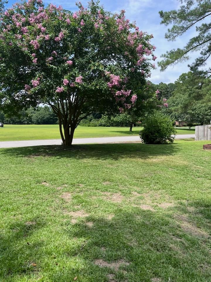  for Westscape Designs in Lake Gaston, NC