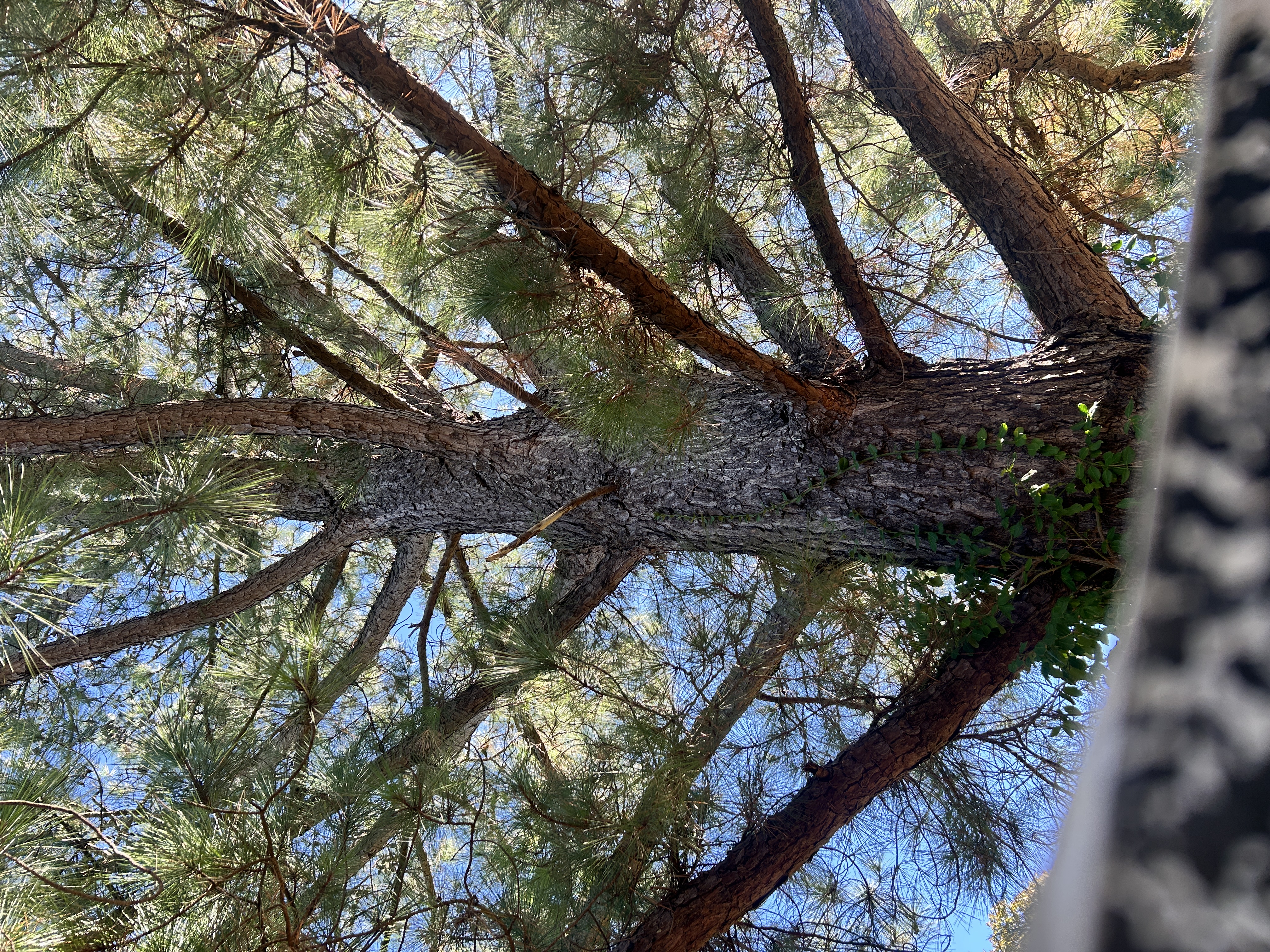  for Terra Steel Creations in Independence, KY