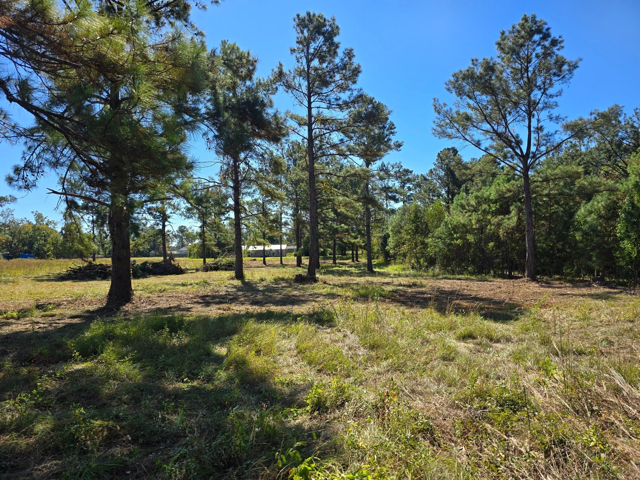  for Giles Land Management, LLC in Hahira, GA