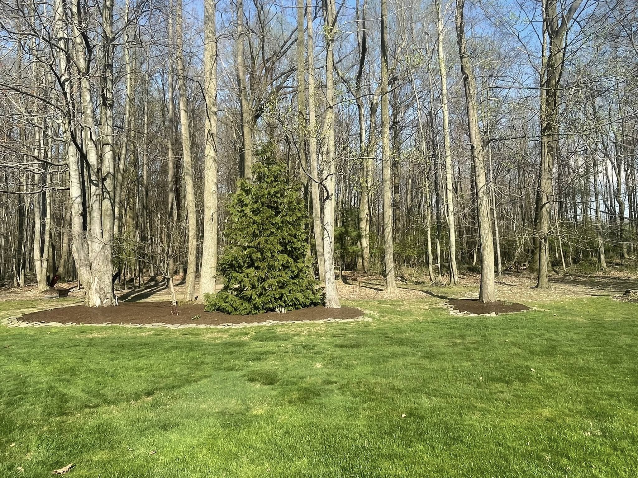  for Reynoso’s Fencing & Lawn Care in Painesville, OH