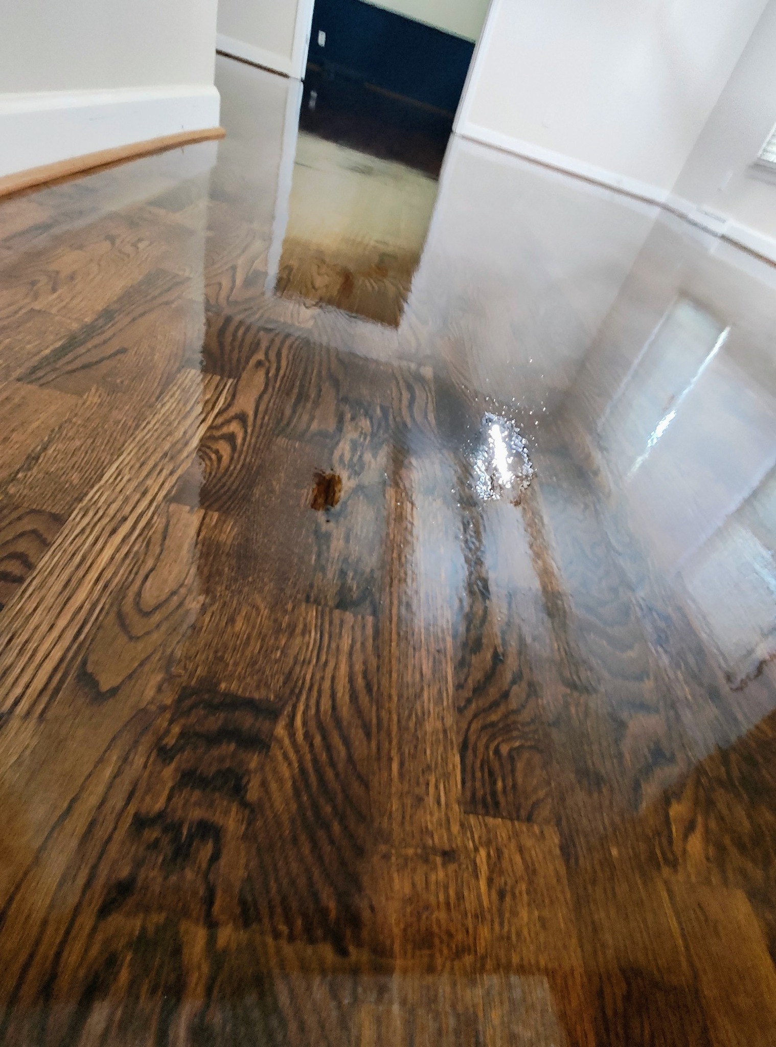  for Do Better Home Renovations LLC in Macon, GA