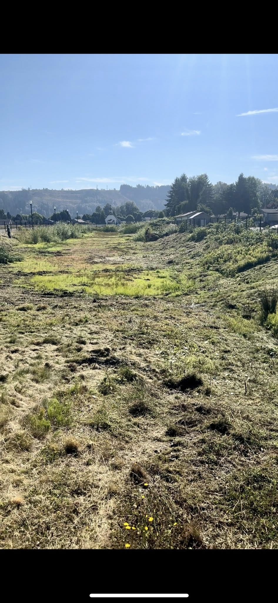  for Wilderness Stump Grinding in Orting, WA