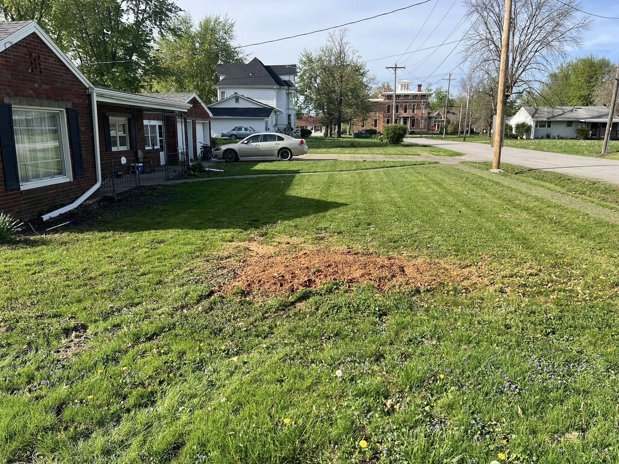 Tree Service company Baker Professional Services LLC in Shelbina, MO