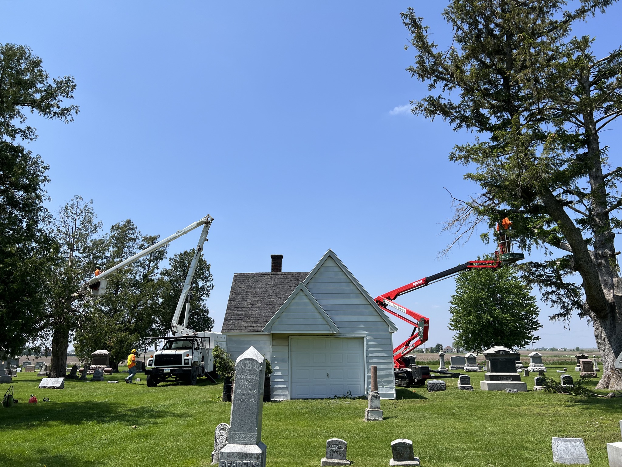 tree service company Dittmer Tree Service in Davenport, IA