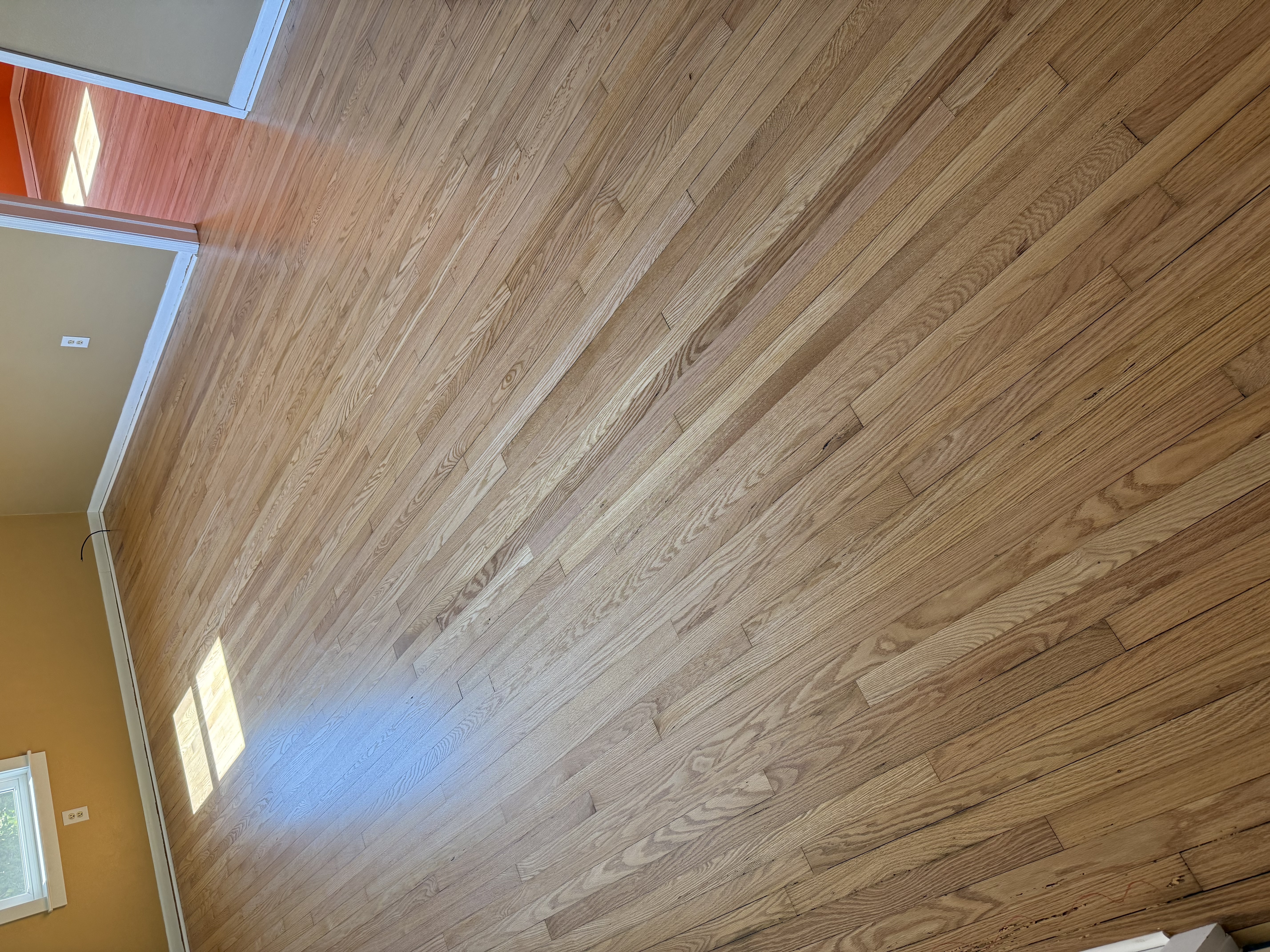  for Finely Finished LLC in Wyoming, DE