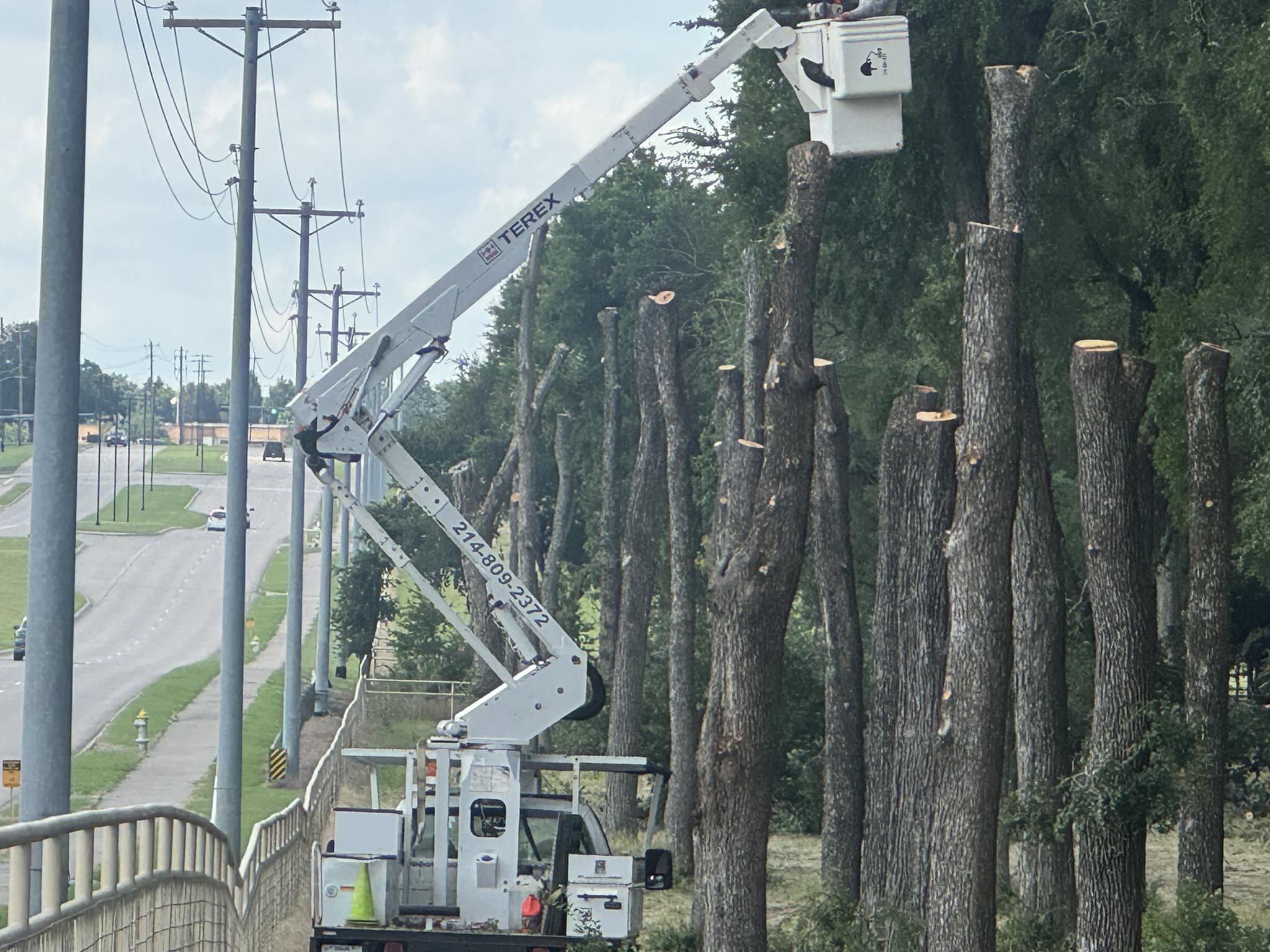 A Realtree Service team in Garland, TX - people or person