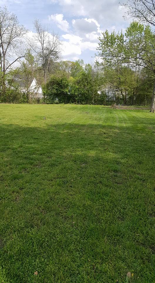  for Ordered Steps Landscaping in Rossville, GA