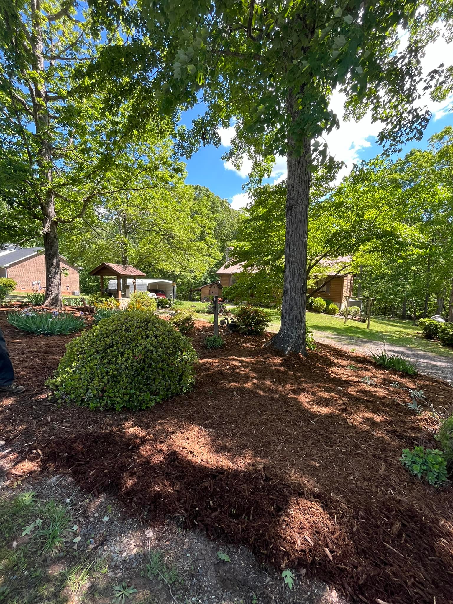  for DW’s Tree Service in Winston-Salem, NC