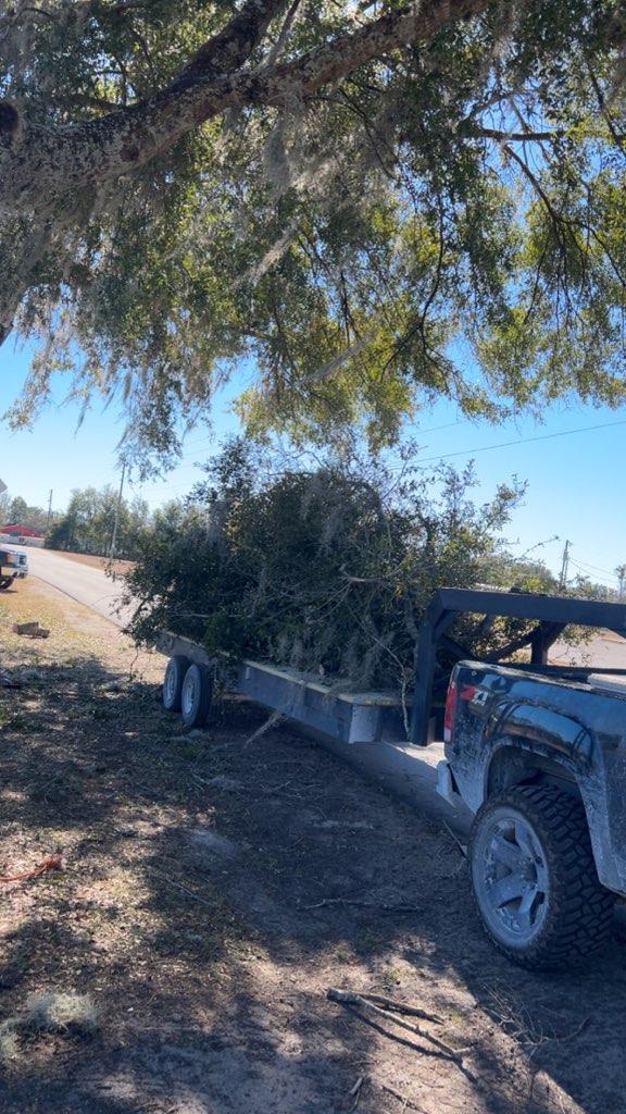  for All Seasons Tree and Land Works in Trenton, FL