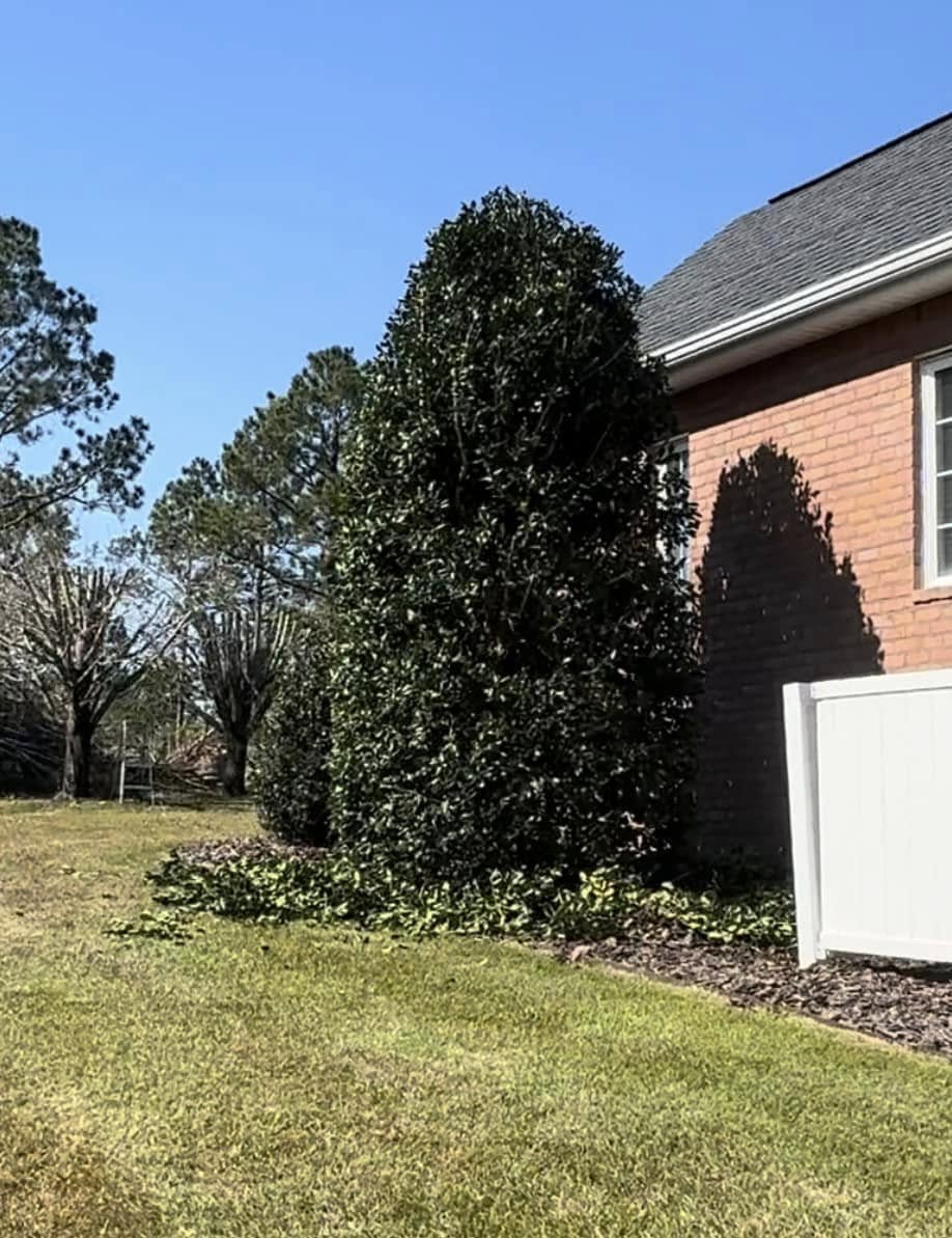  for Sierra Verde Landscaping in Vidalia, GA