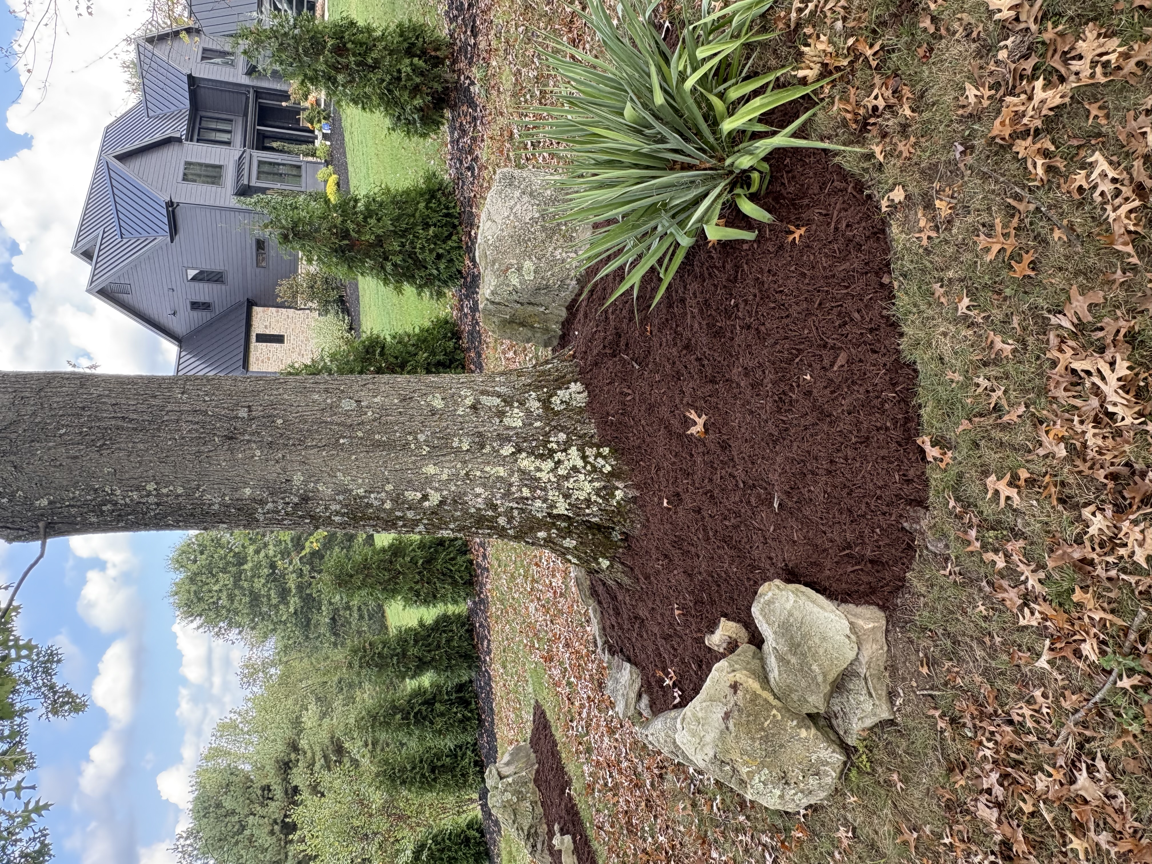  for Cam Yardz in Washington, PA