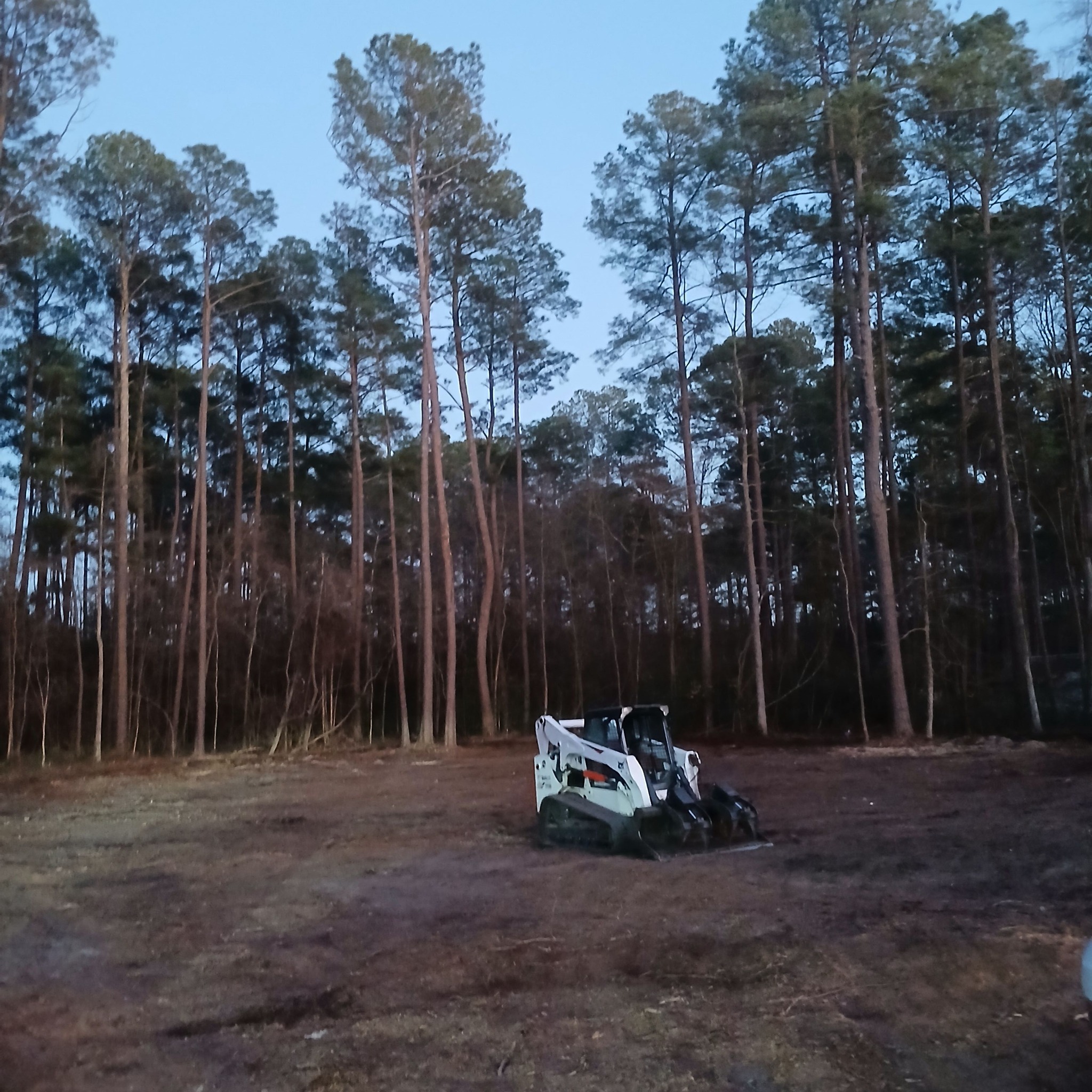 tree service company Kingdom Riderz Hauling And Tree Service in Tar Heel, NC