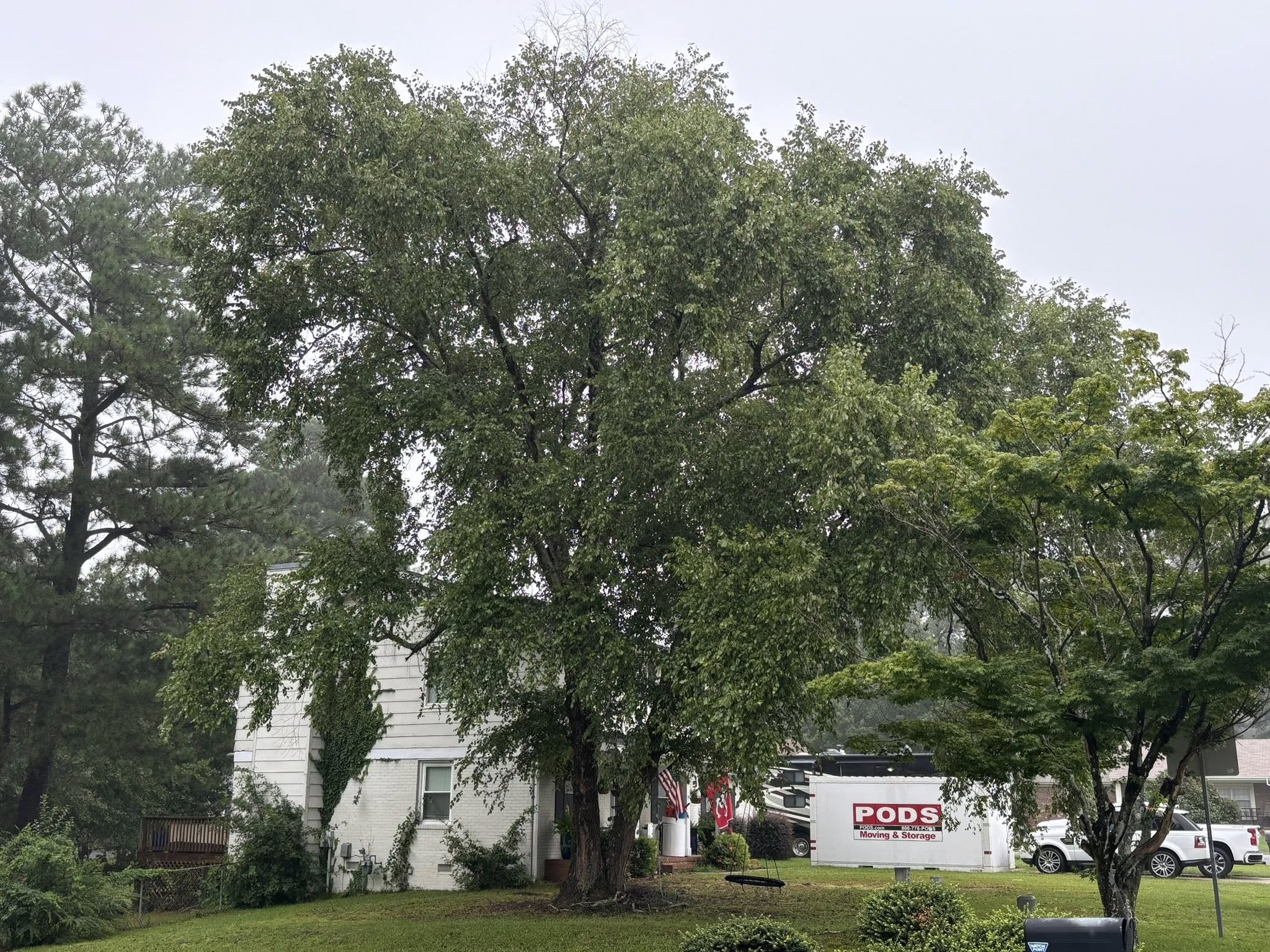 for Total Tree Care in Erwin, North Carolina