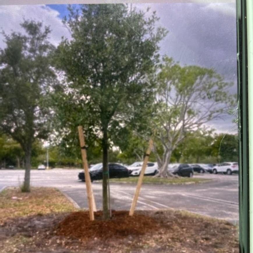  for Bridgewater Arbor Care LLC in Jupiter, FL