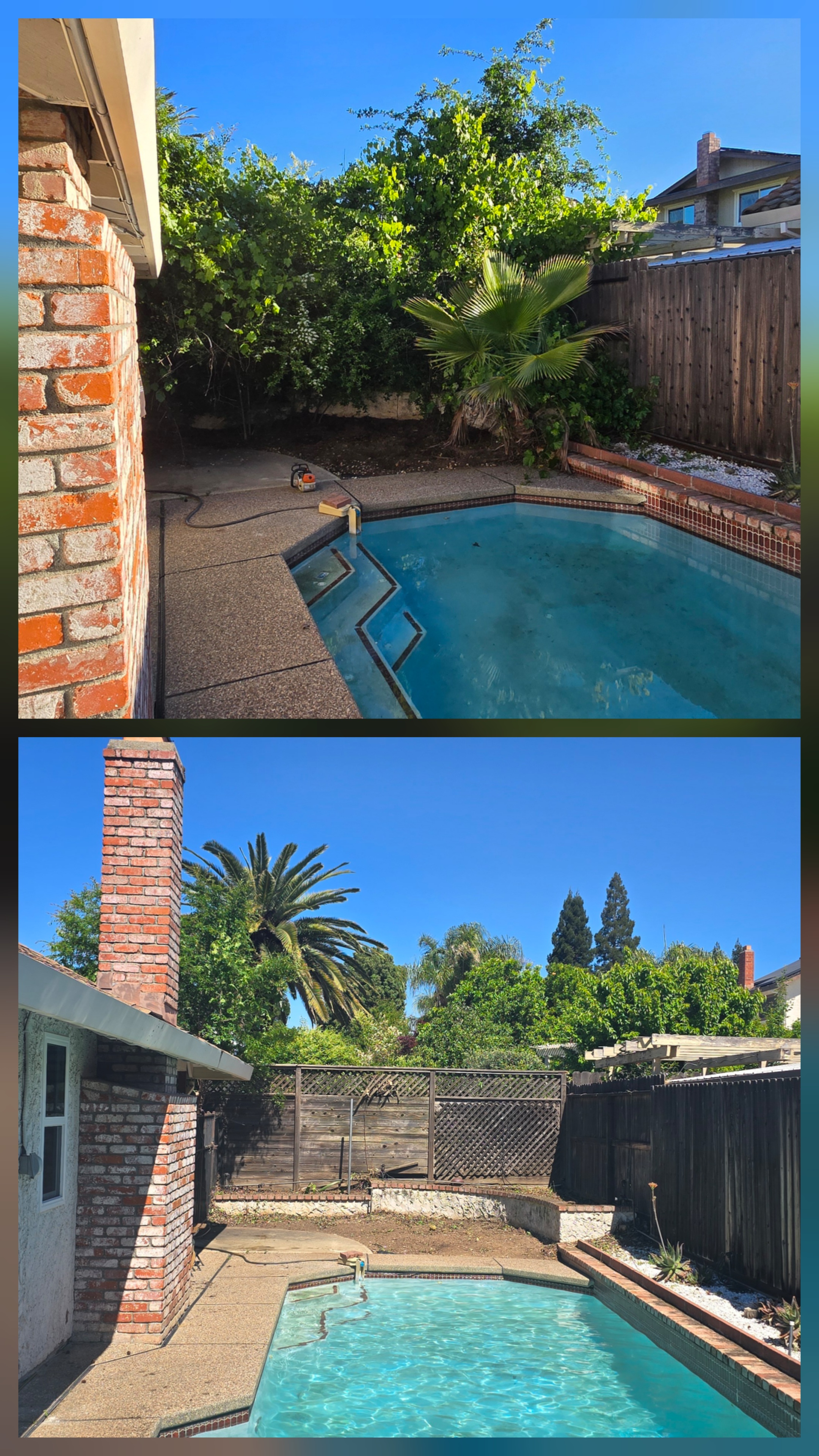  for George Staddan's Professional Tree Care in Placerville, CA