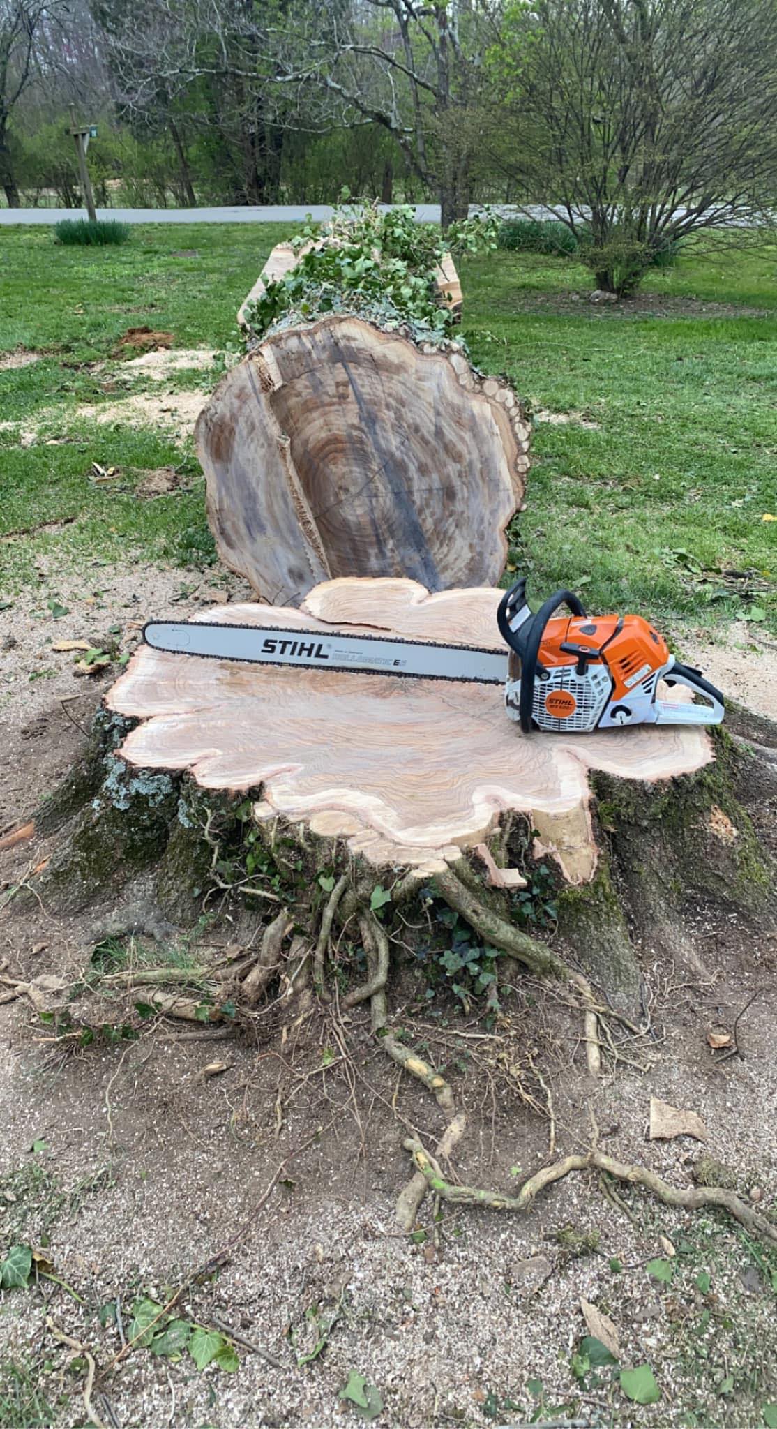 Tree Service in Liberty, KY Atwood’s Tree Care