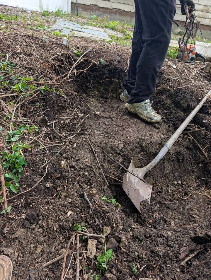  for Hope House Lawn & Landscaping PLUS in Masontown, PA
