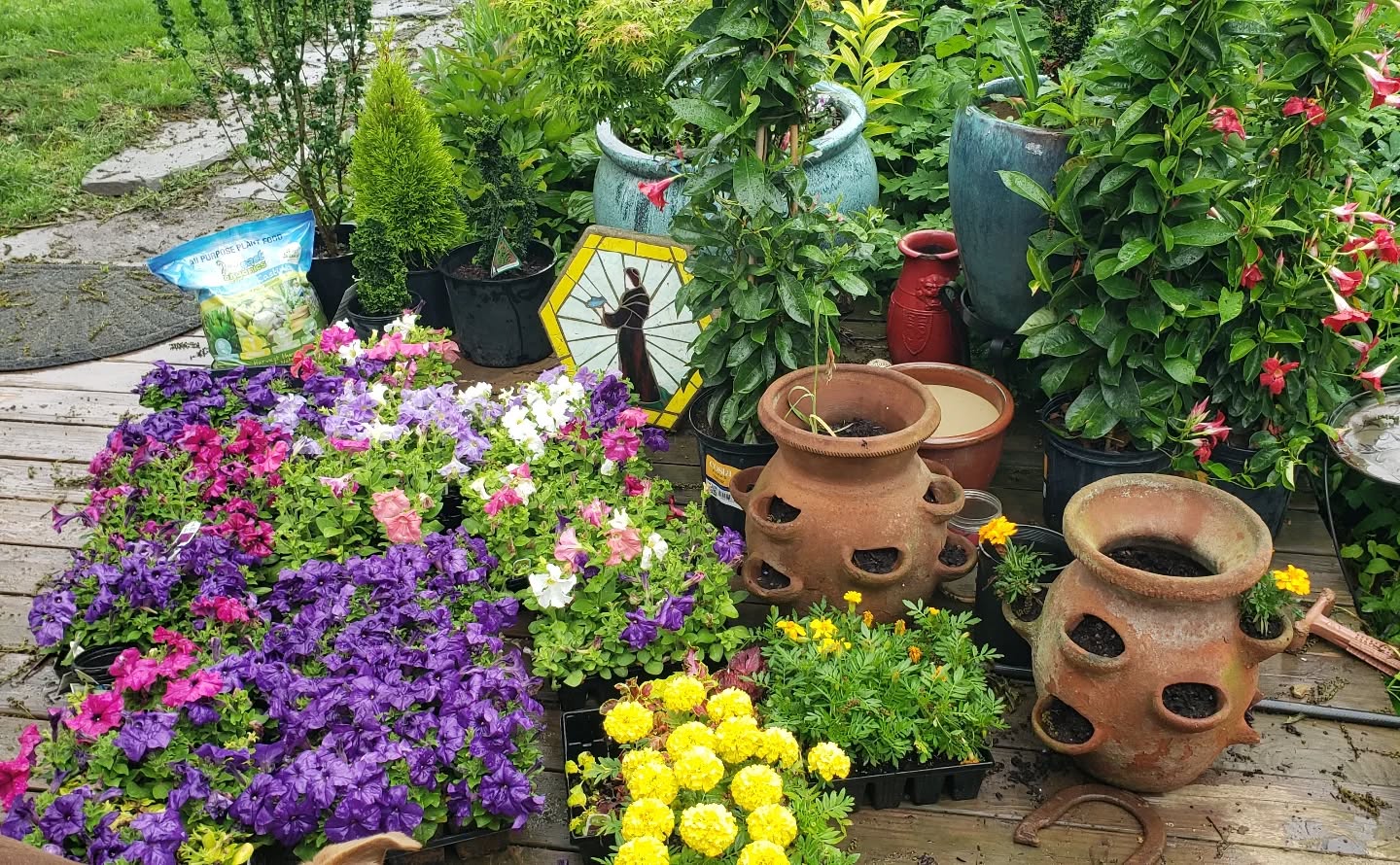  for Clean Cut Lawns & Landscaping in Dickerson, MD